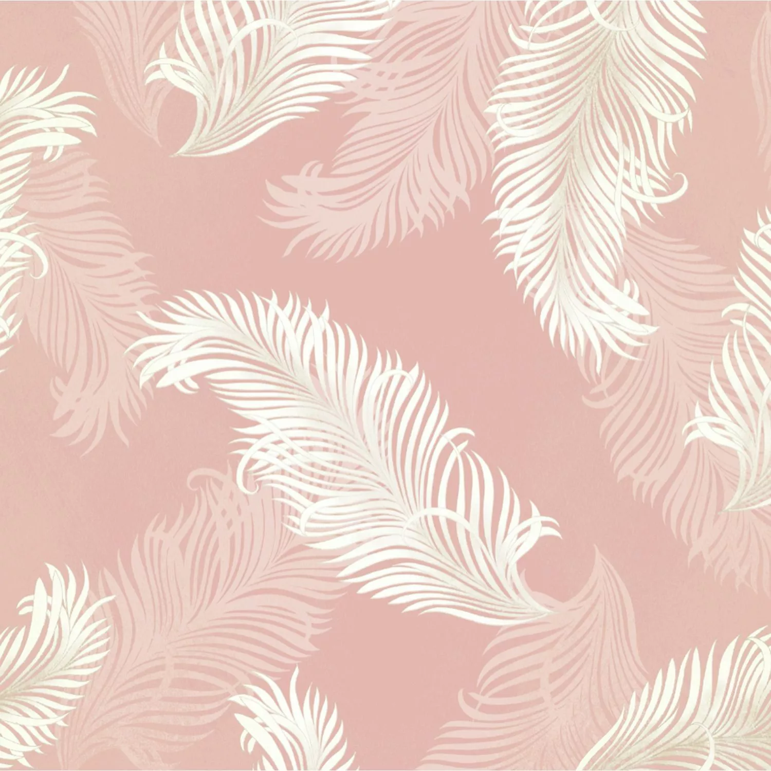 Feathers Blush Pink