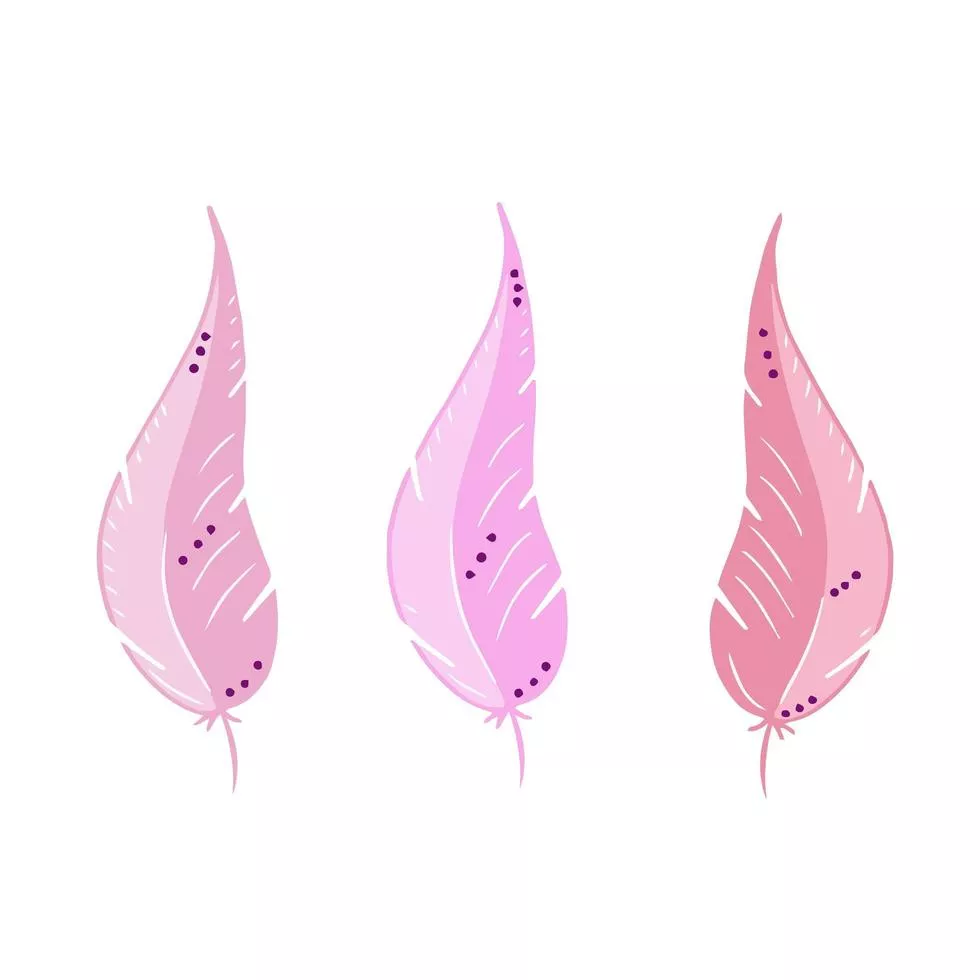 Pink feather of bird vector