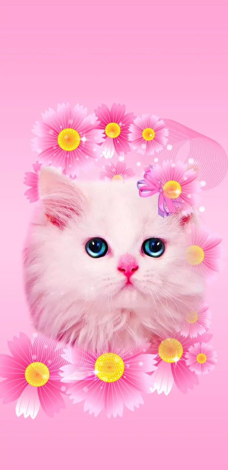 Cute kitty, cat, girly, pink, HD phone