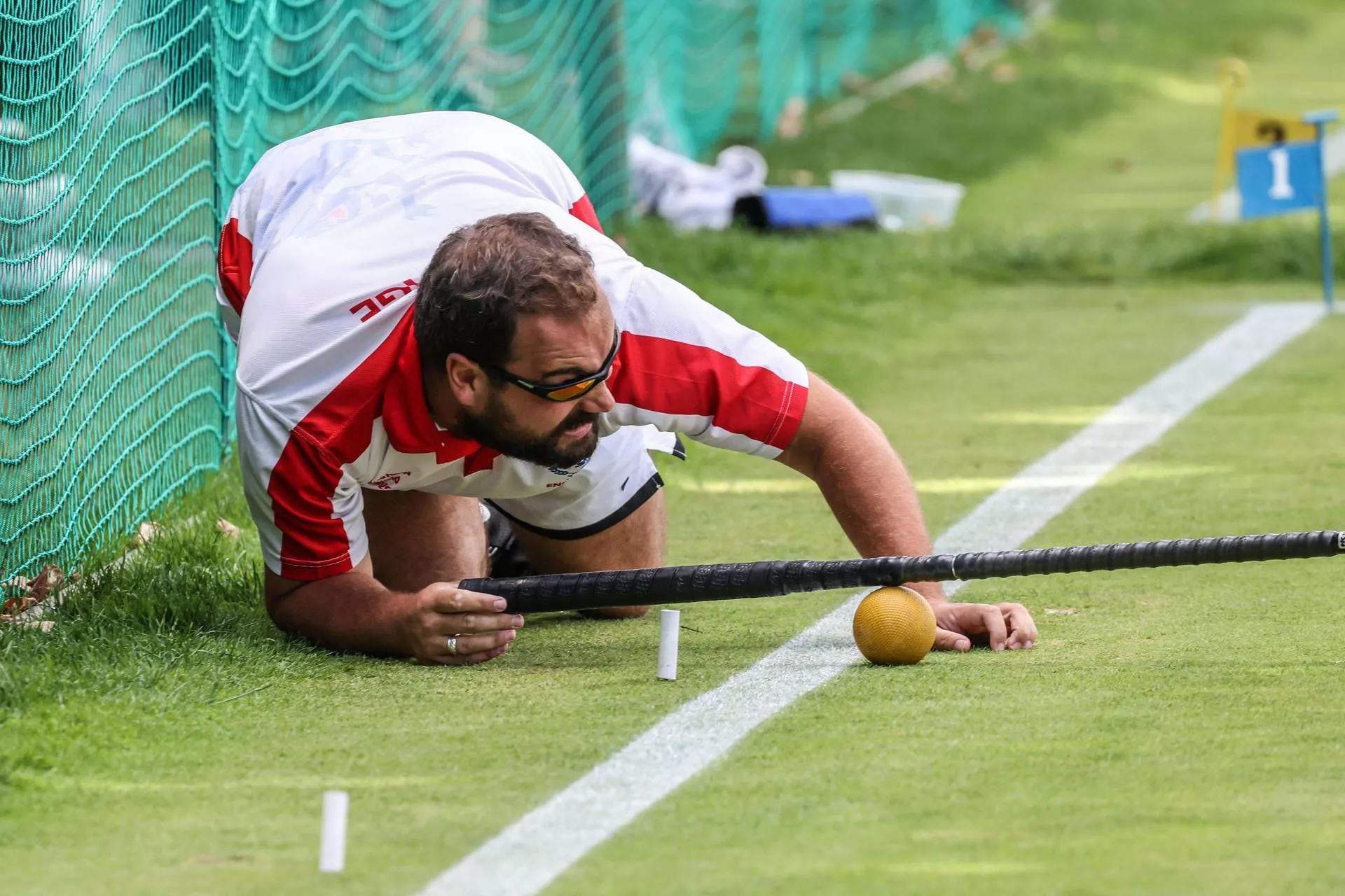 Croquet Picture