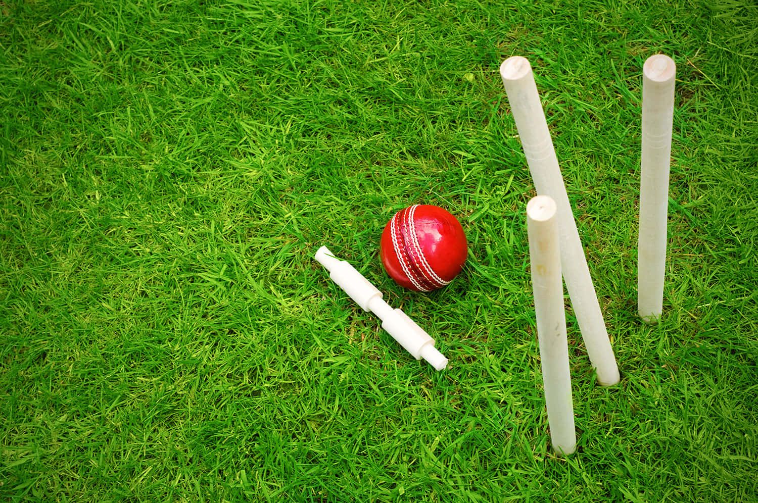 Croquet HD Wallpaper