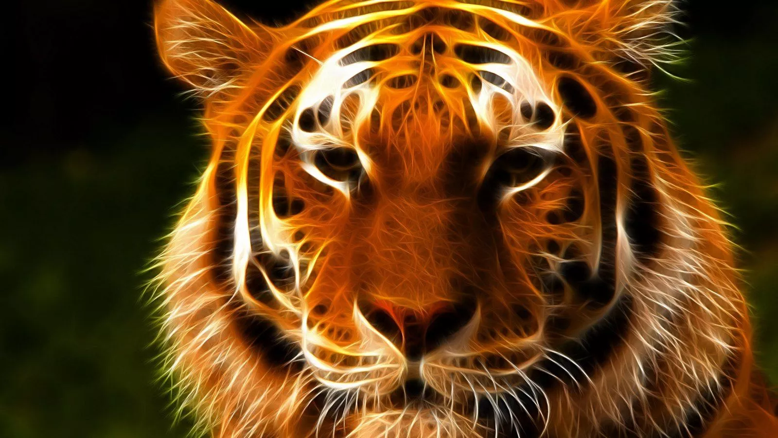 Tiger Face Art 1920x1080 Wallpaper