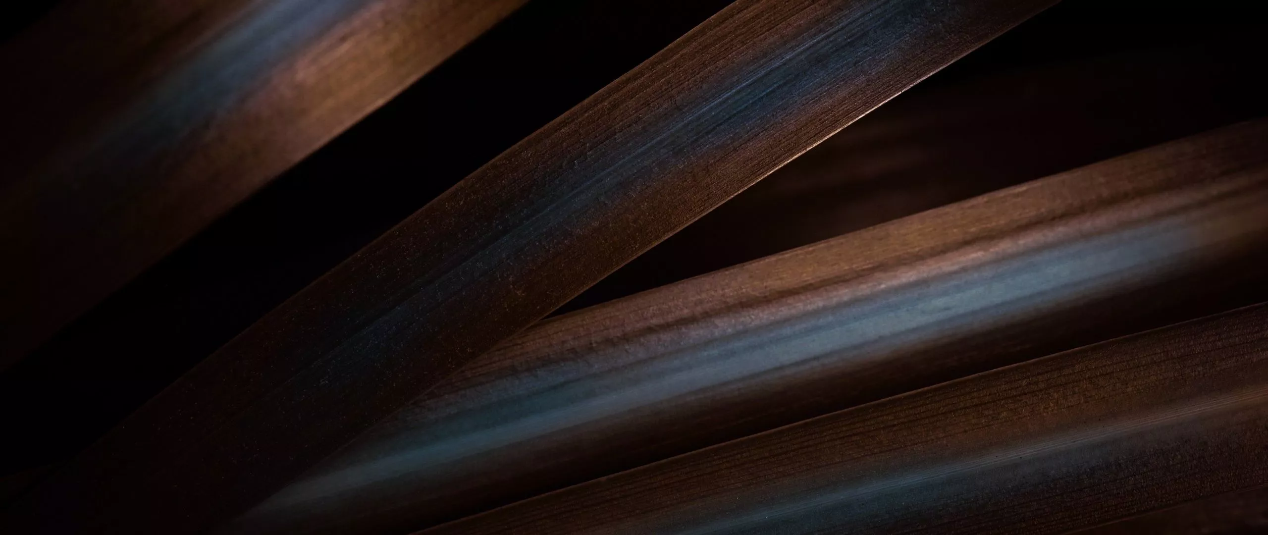 Orange leaves Wallpaper 4K, Aesthetic