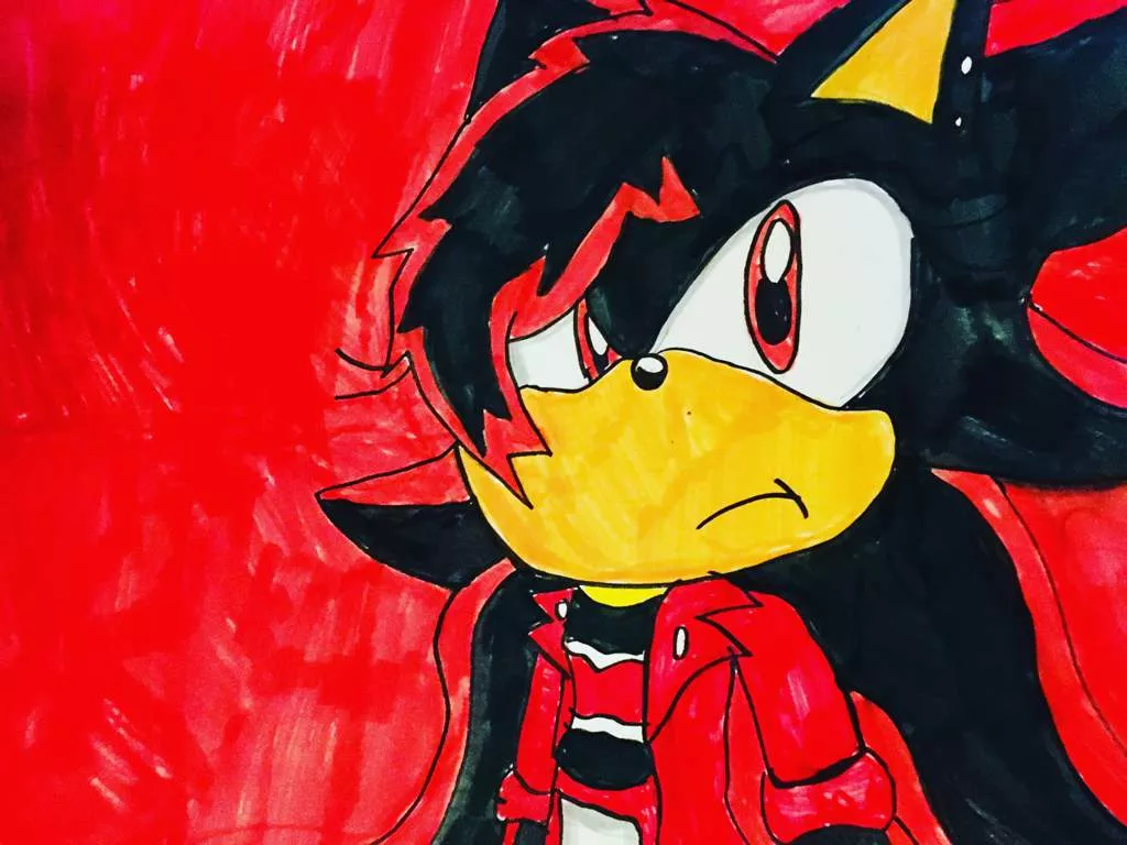 hedgehog. Sonic Amino: Team Infinity Amino