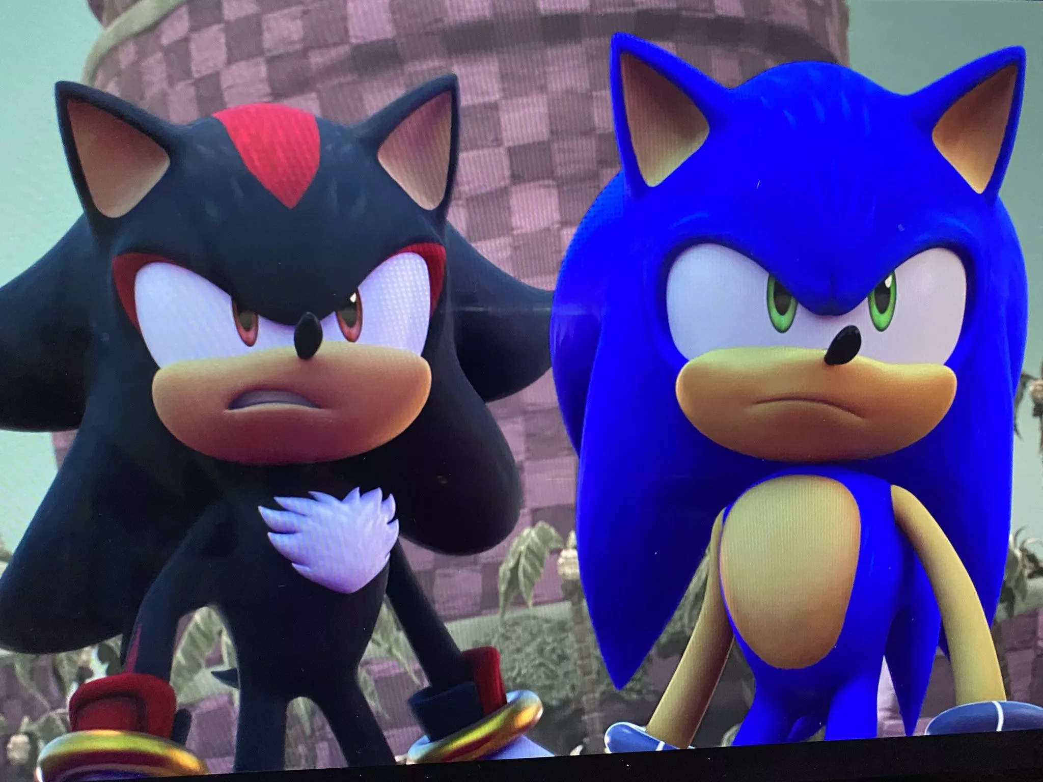 nixe ✦ ARE LOOK LIKE TWIN