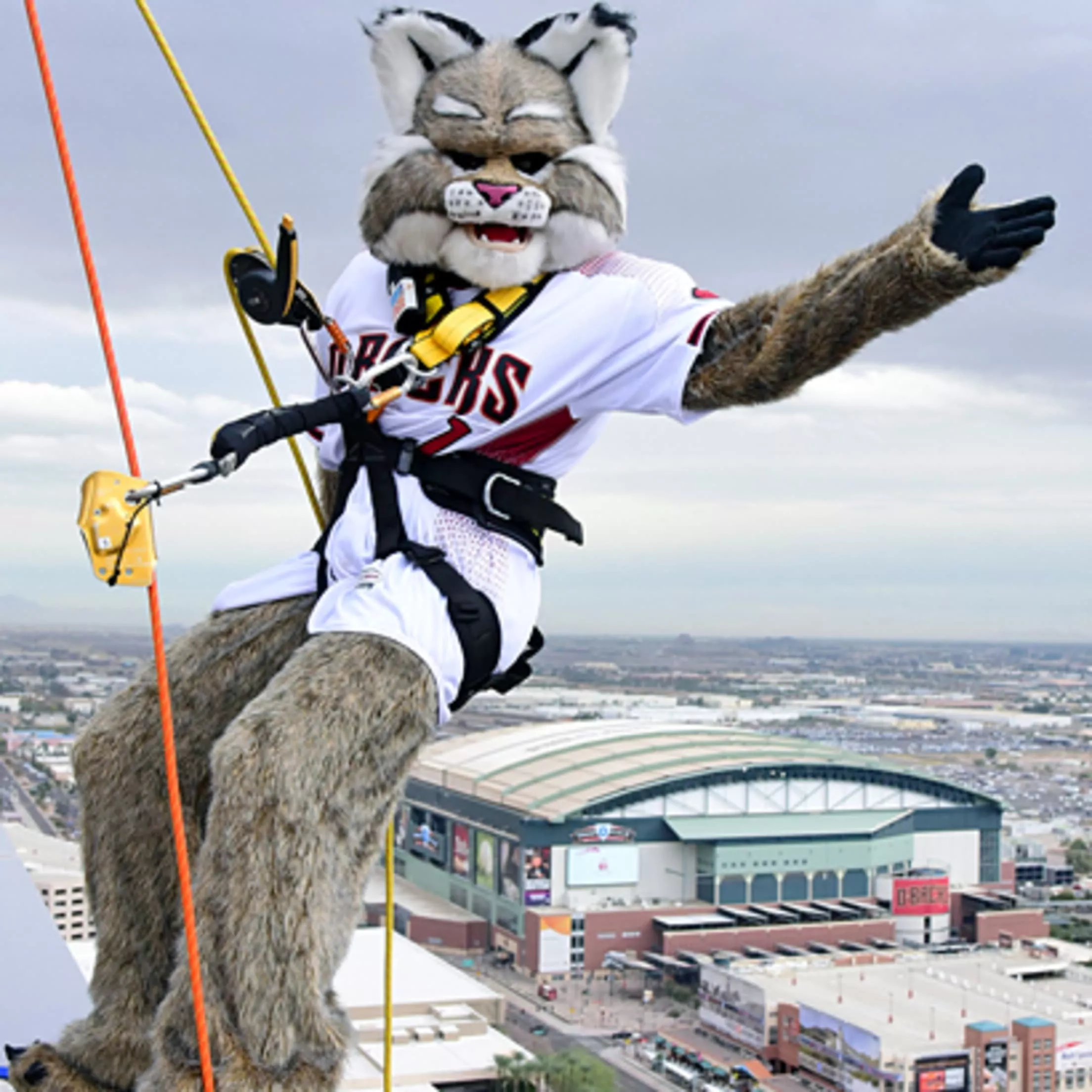 MLB All Star Mascots. All Star Village