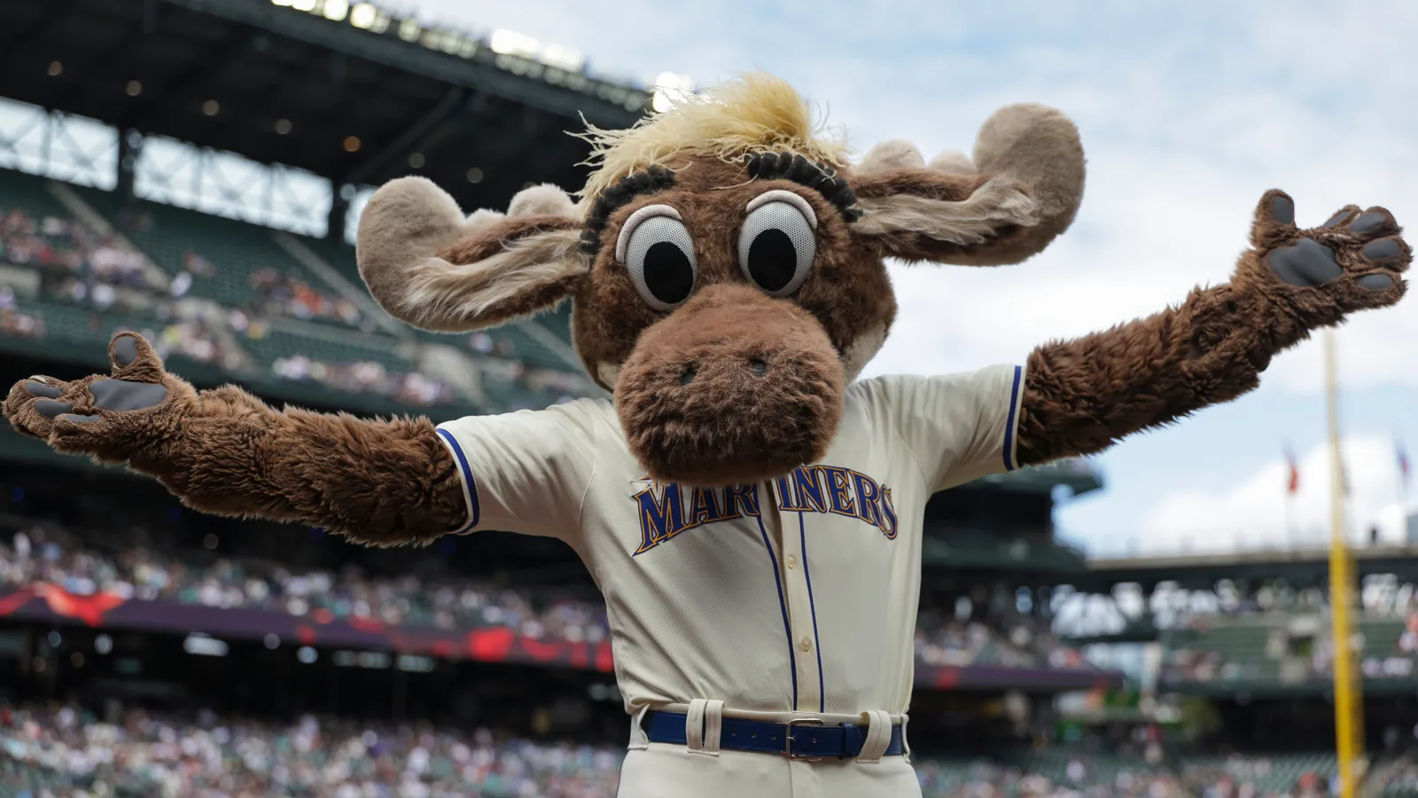 MLB mascot star