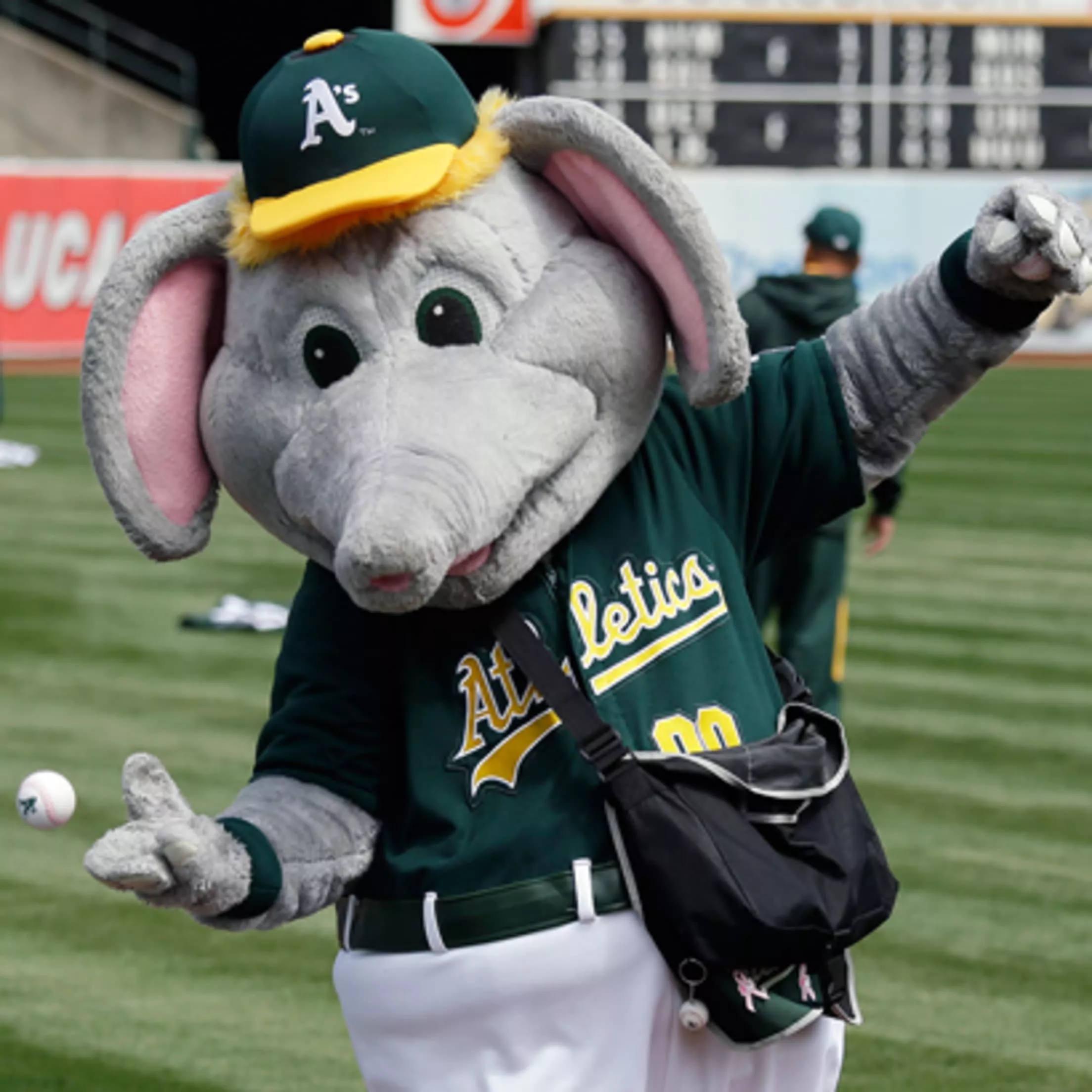 MLB All Star Mascots. All Star Village