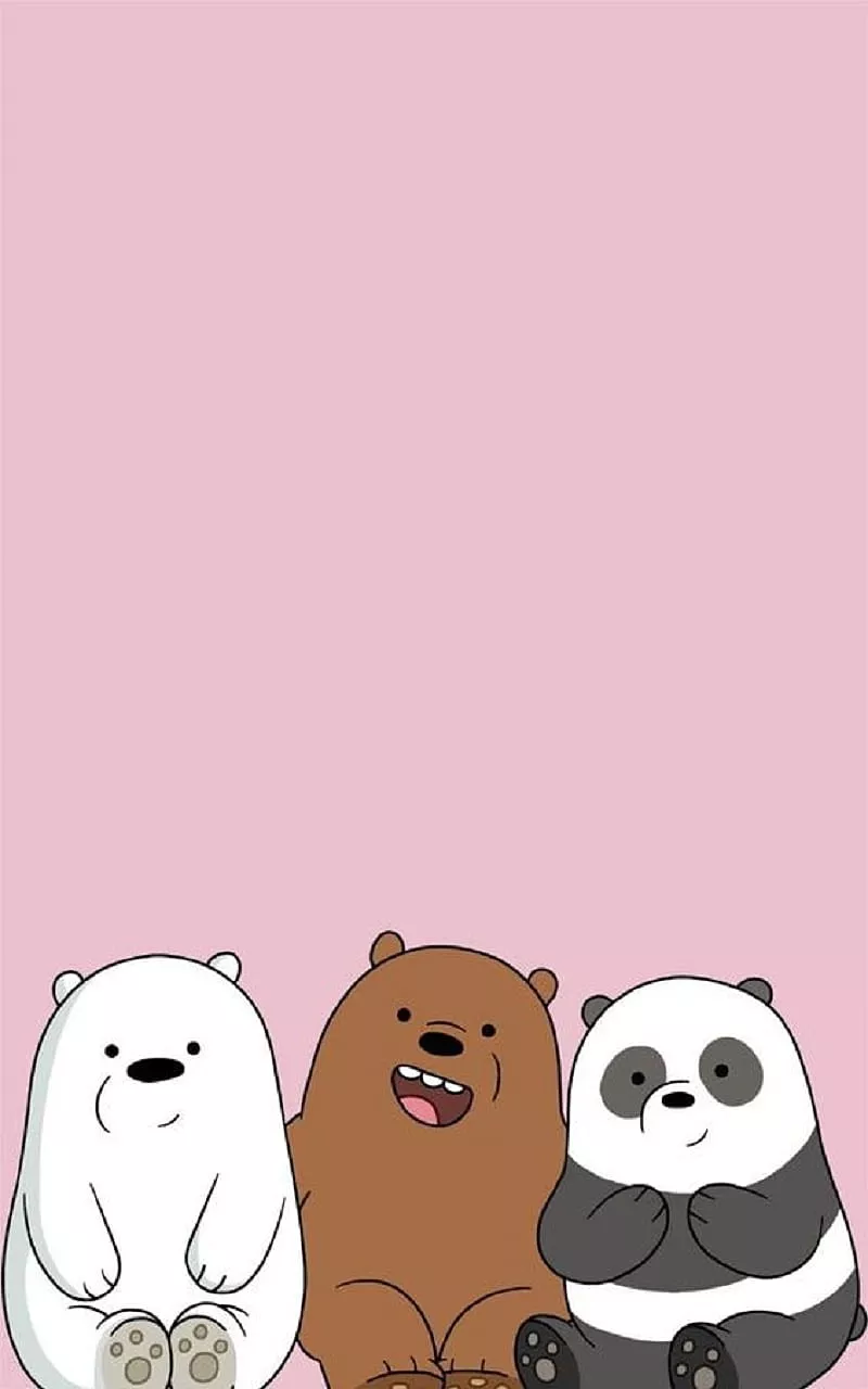 Bears, bear, brown, panda, polar, HD