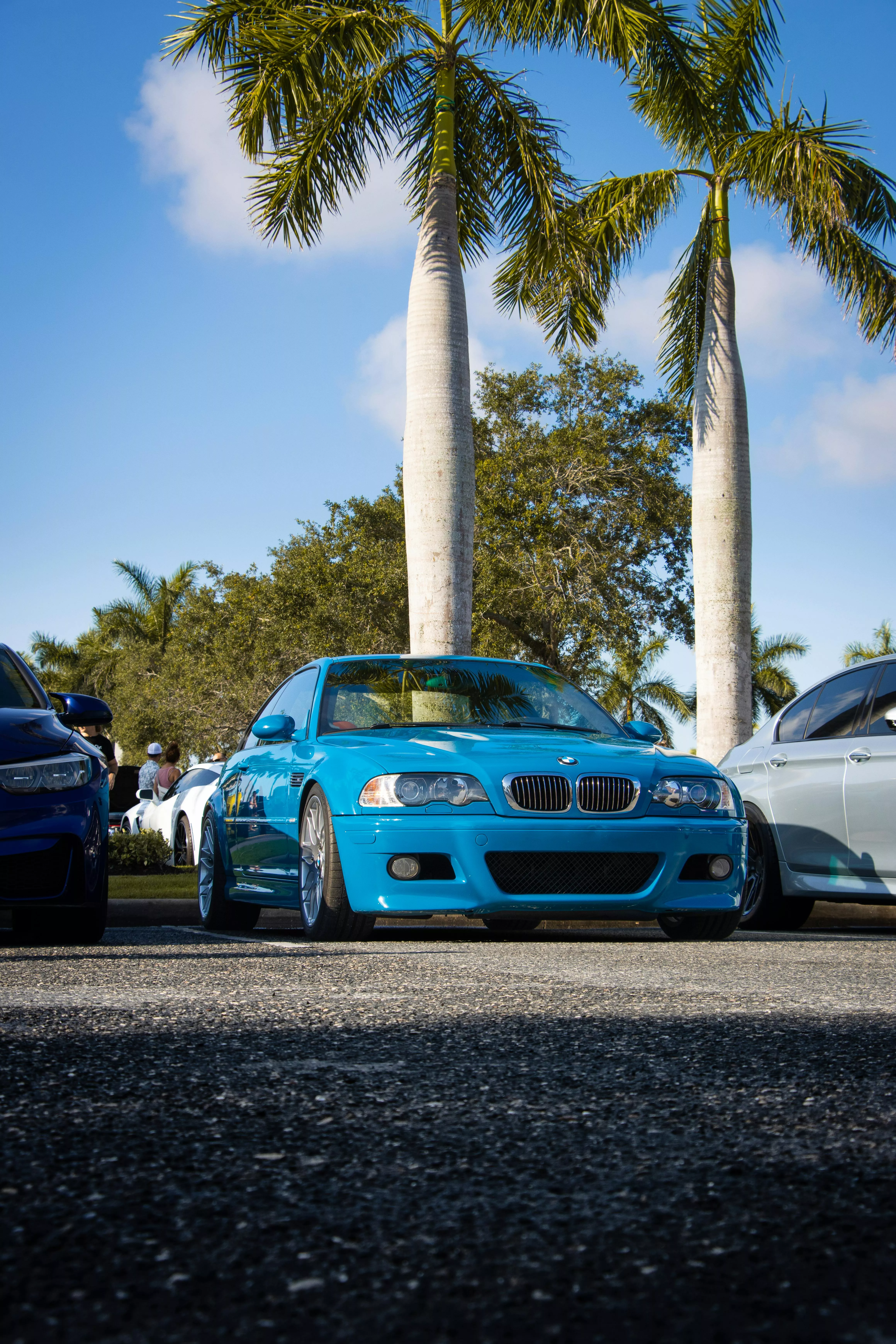 Blue BMW E46 Car Parked under Palm