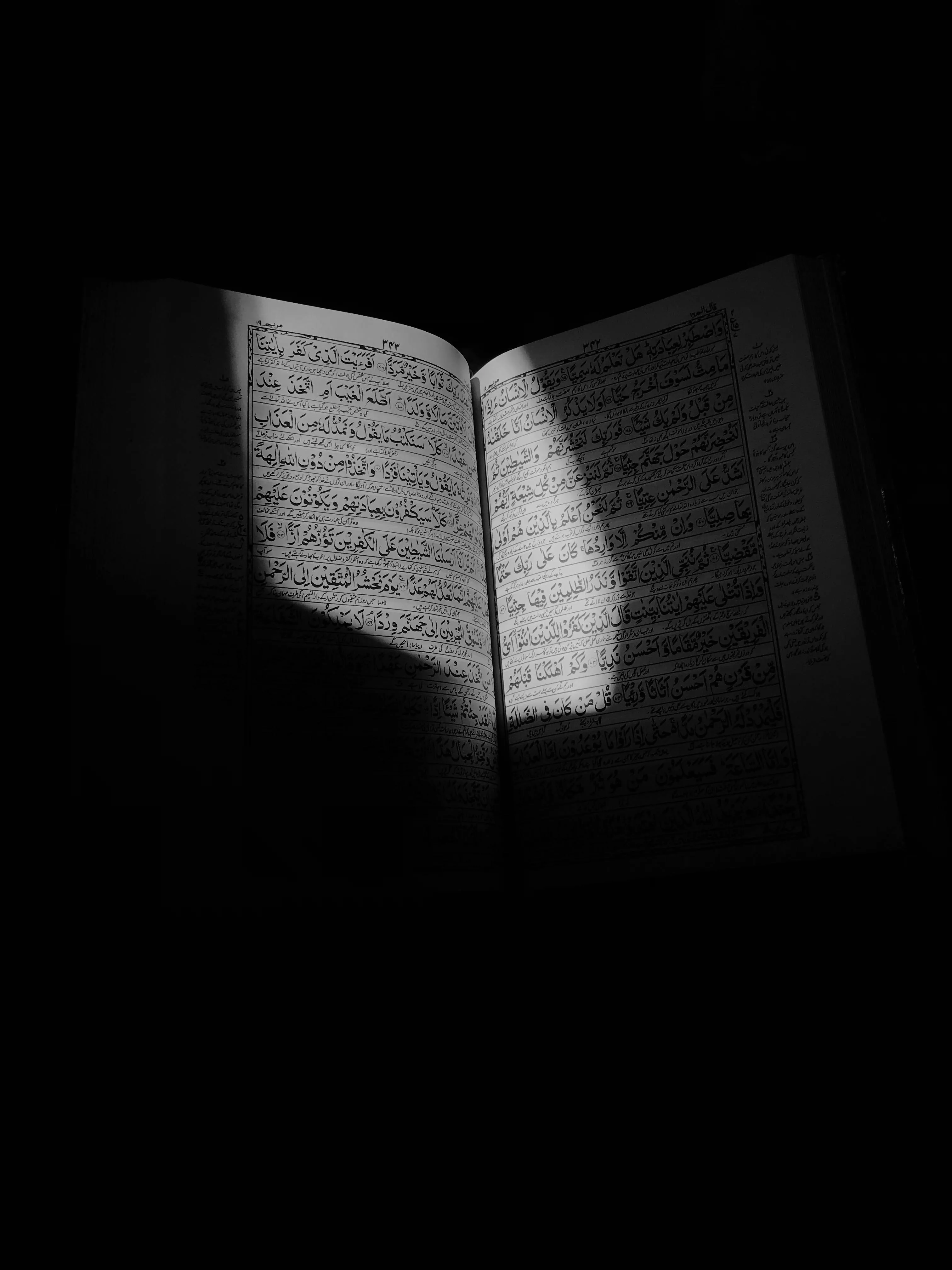 Holy Quran under sunlight · Free Stock