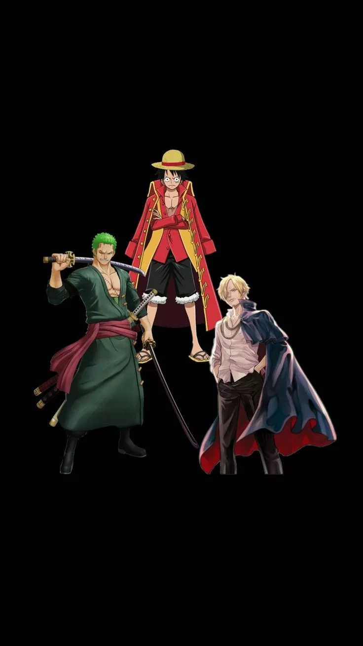 Download Luffy Zoro Sajni Black Canvas