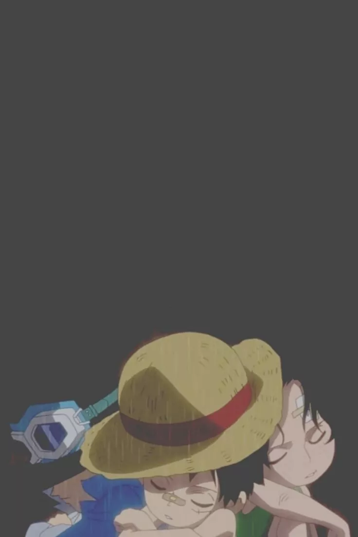 Ace Sabo Luffy wallpaper