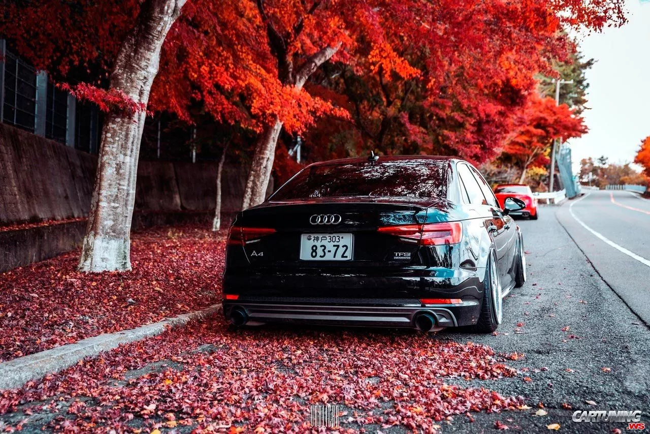 Tuning Audi A4 B9 rear