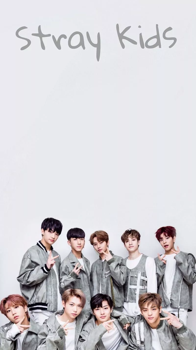 stray, team, HD phone wallpaper