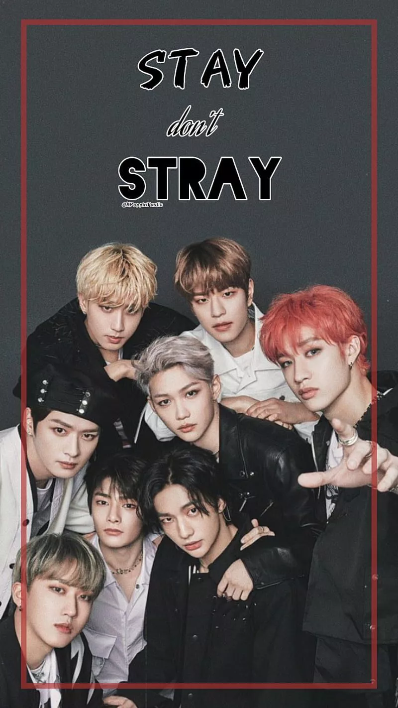STAY dont STRAY, korea, korean pop