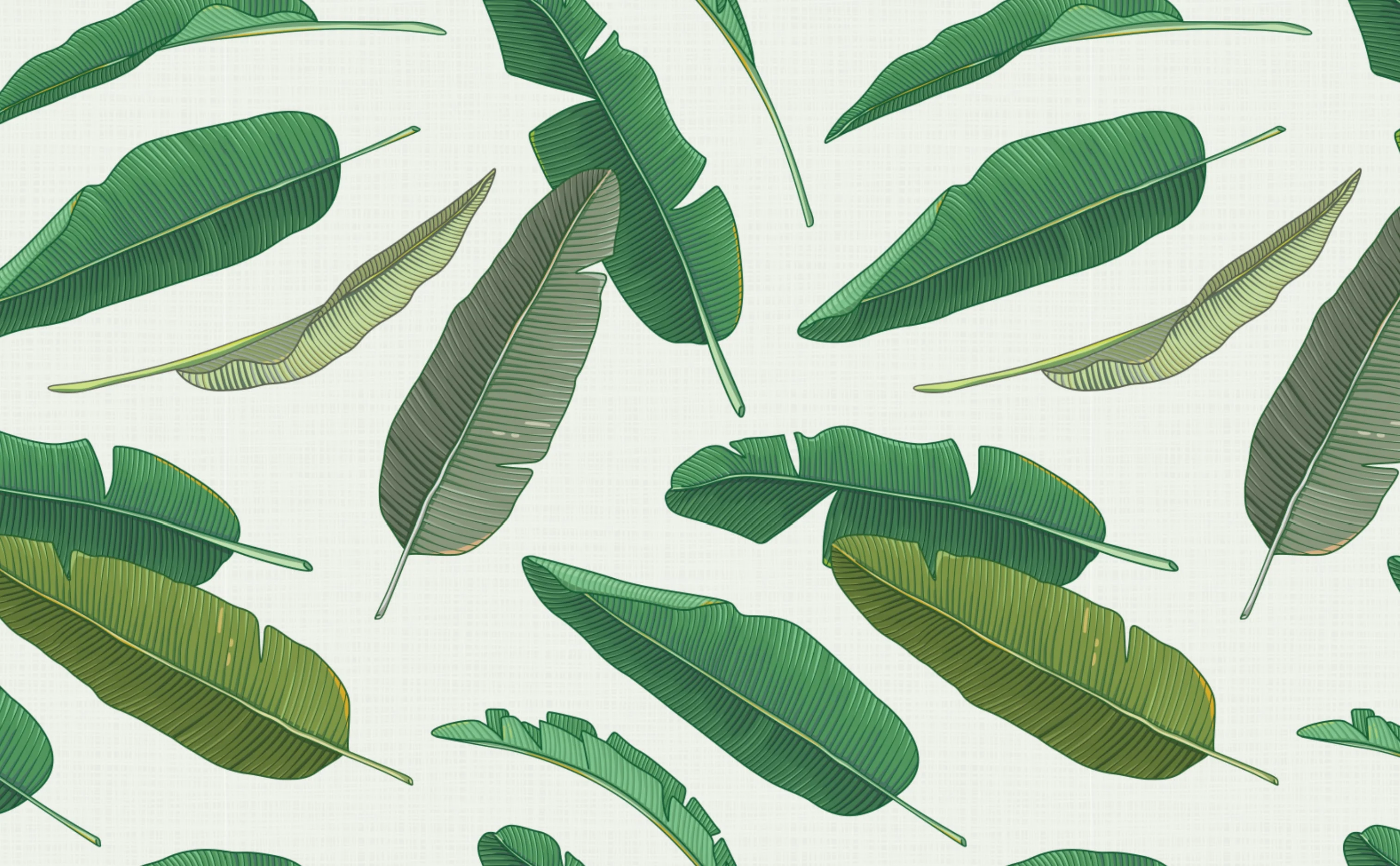 Banana Tree Leaves Wallpaper for Walls