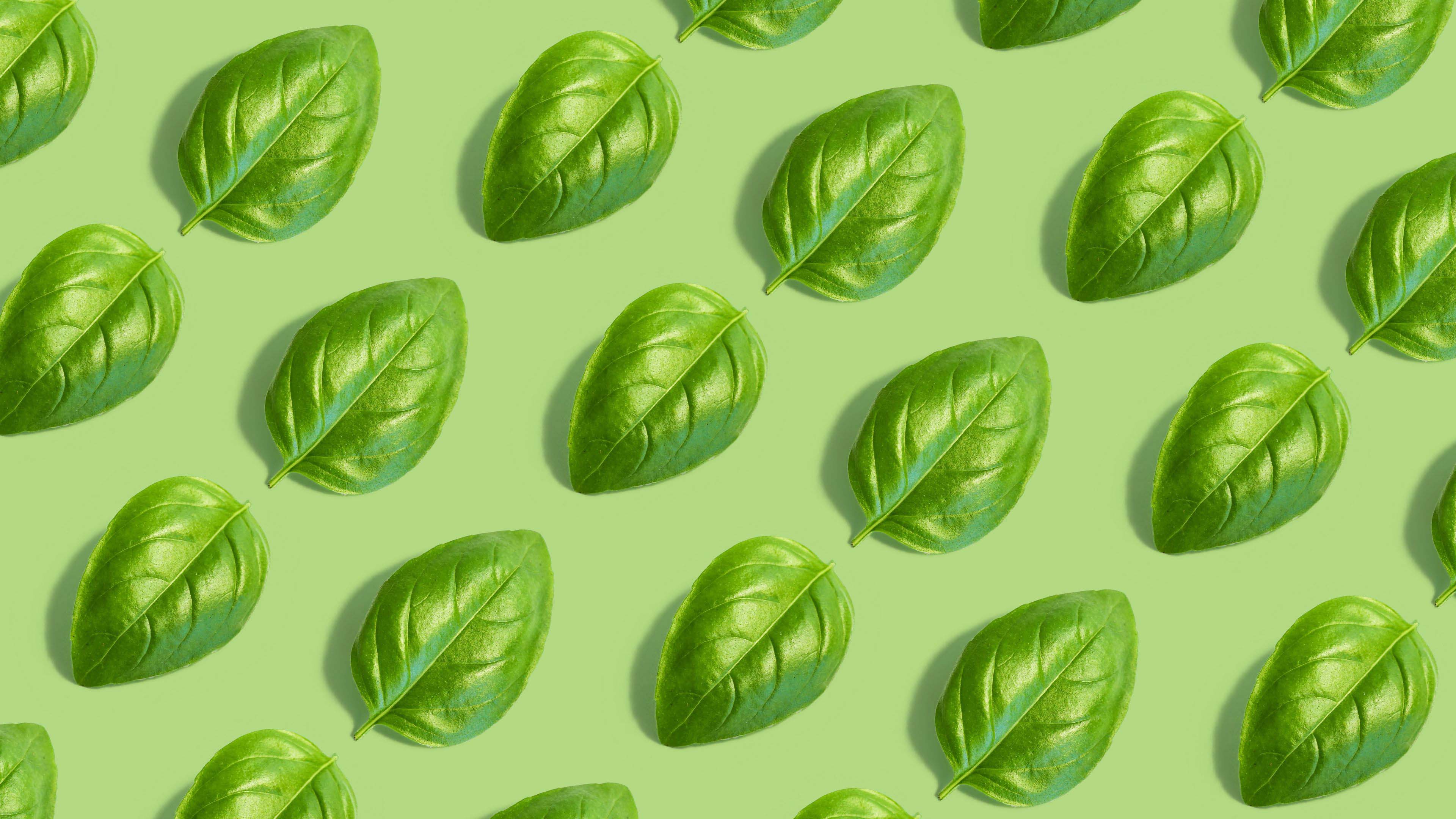 Green Leaves Texture Art Pattern 4K HD