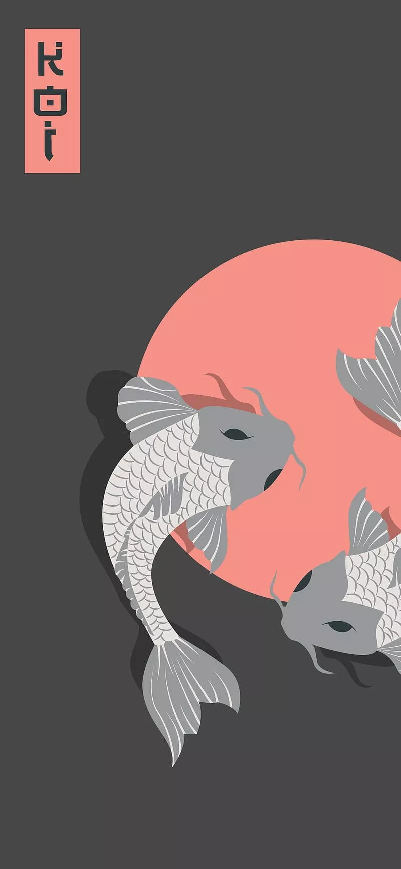 Koi Fish, Maroon, Moon, Dark, Japan, HD