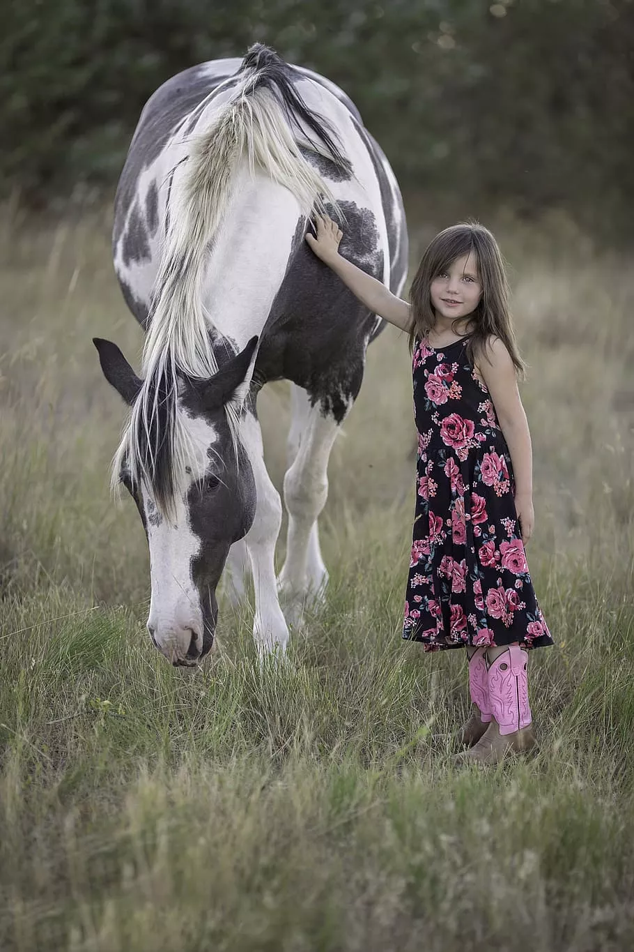 horse, child, animal, fun