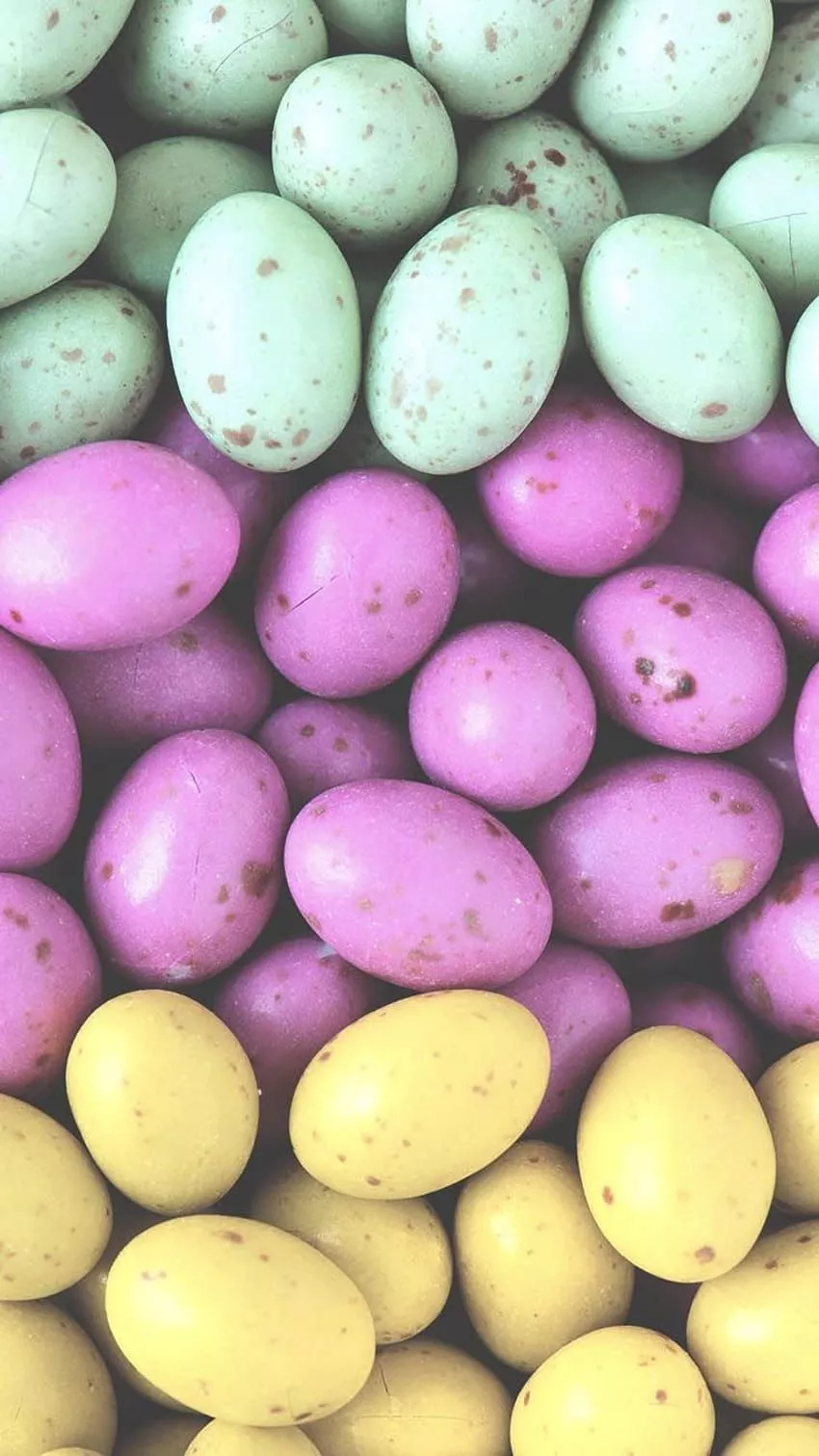 Pretty Springtime iPhone, easter