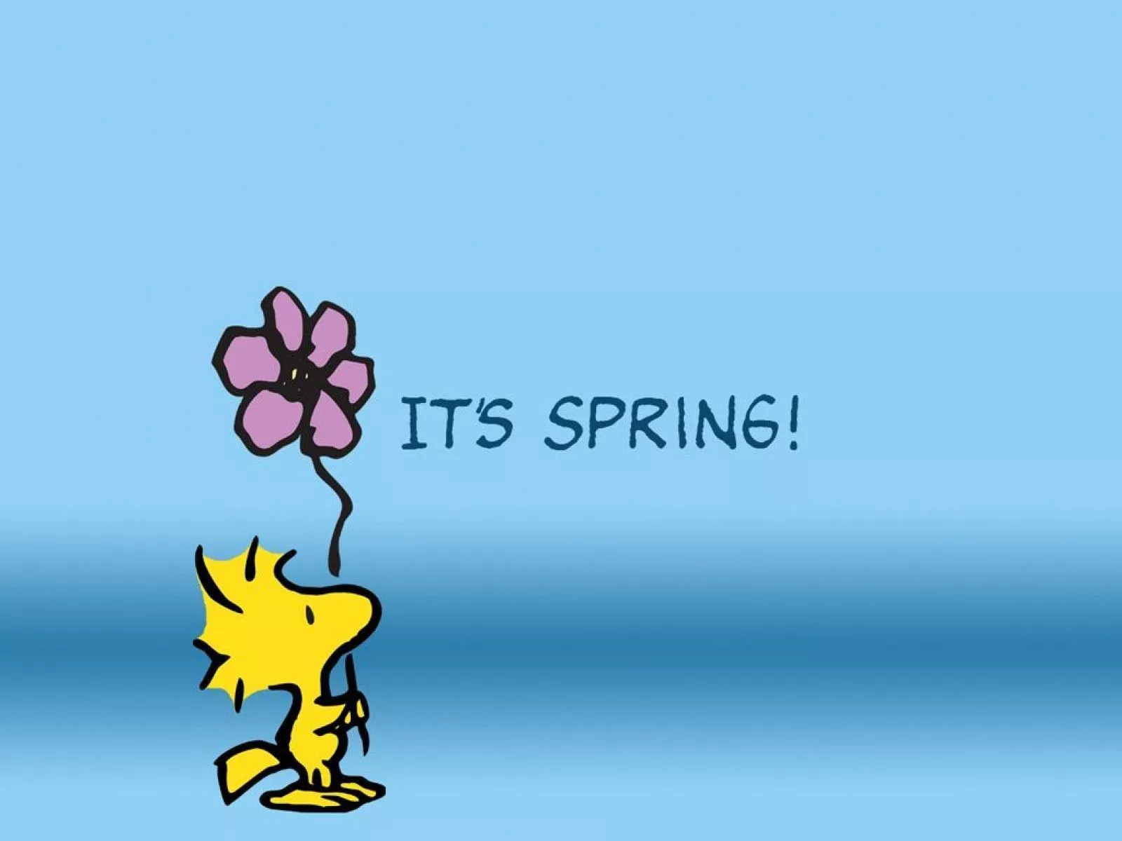 Snoopy Easter Wallpaper HD 113540