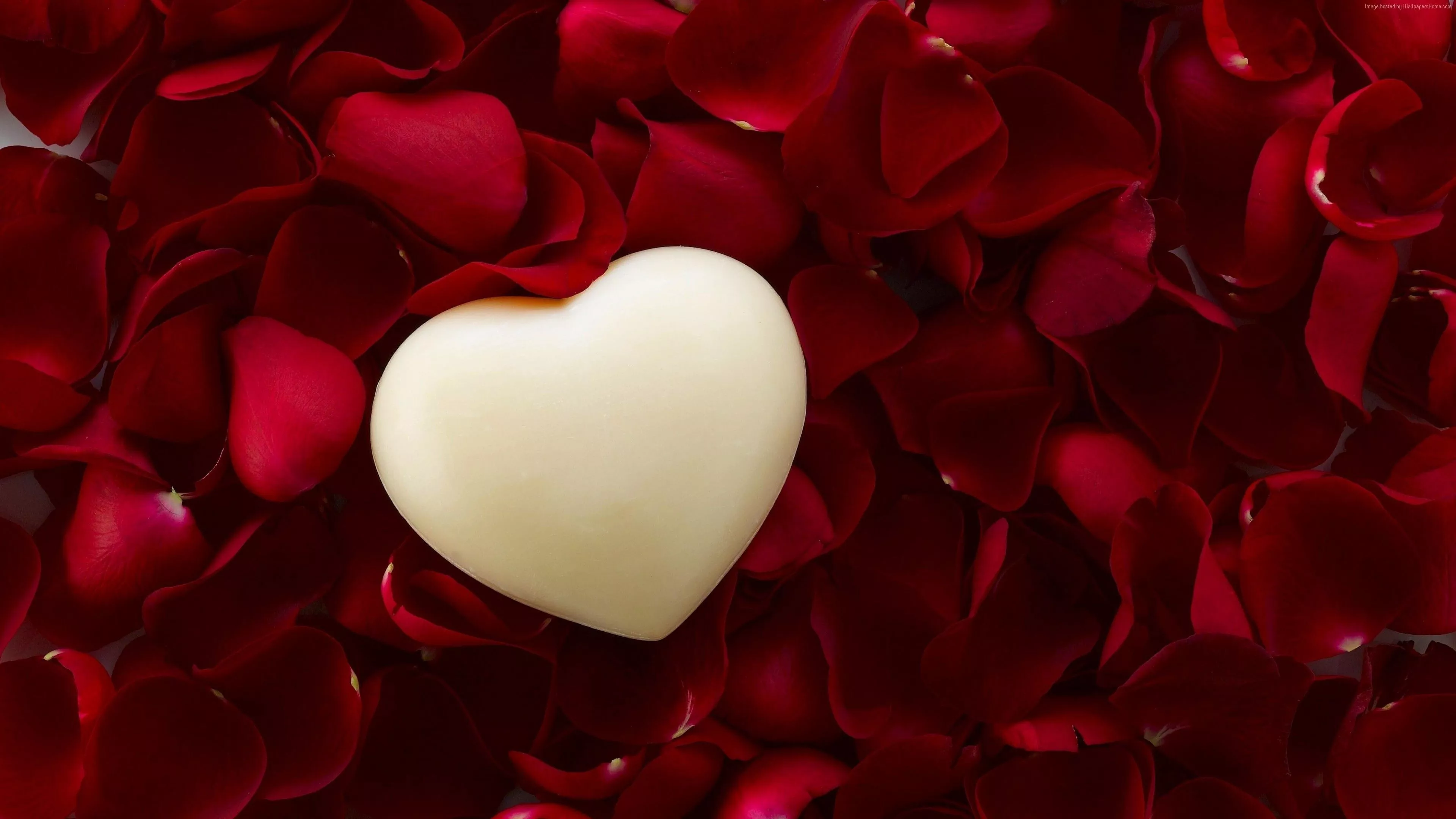 Hearts and Flowers Wallpaper 27