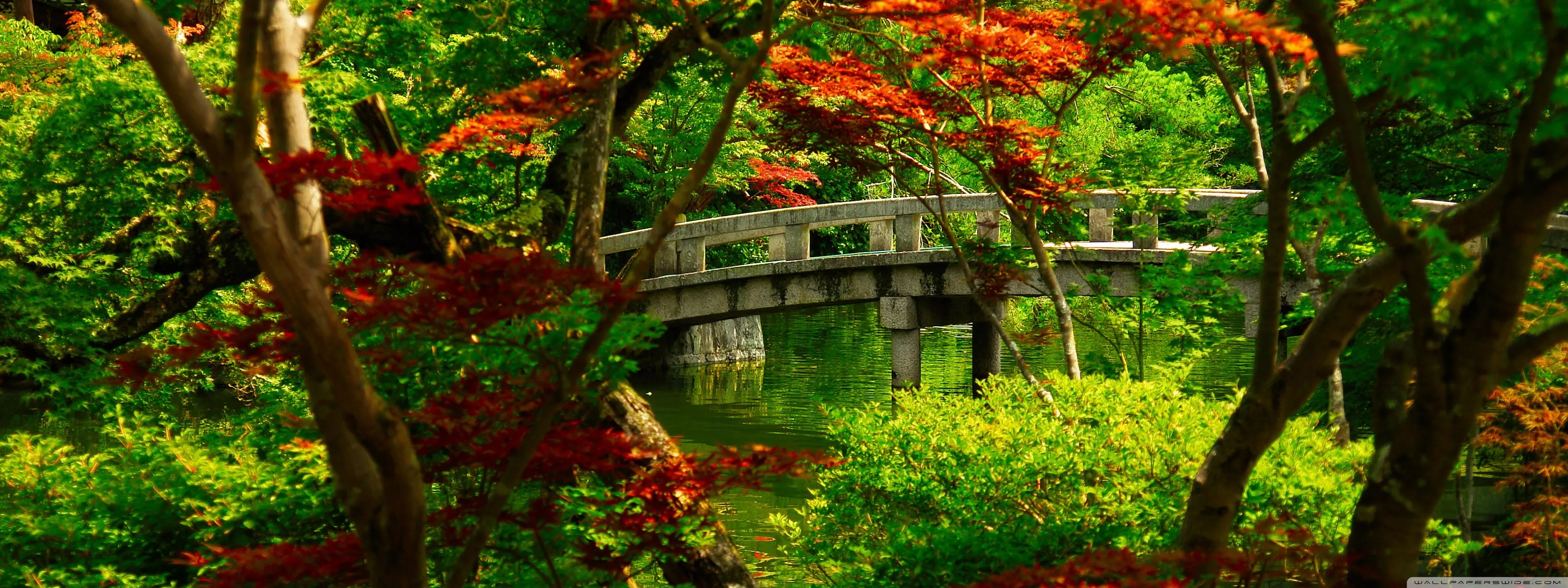 Japanese Garden (Kyoto) Ultra HD