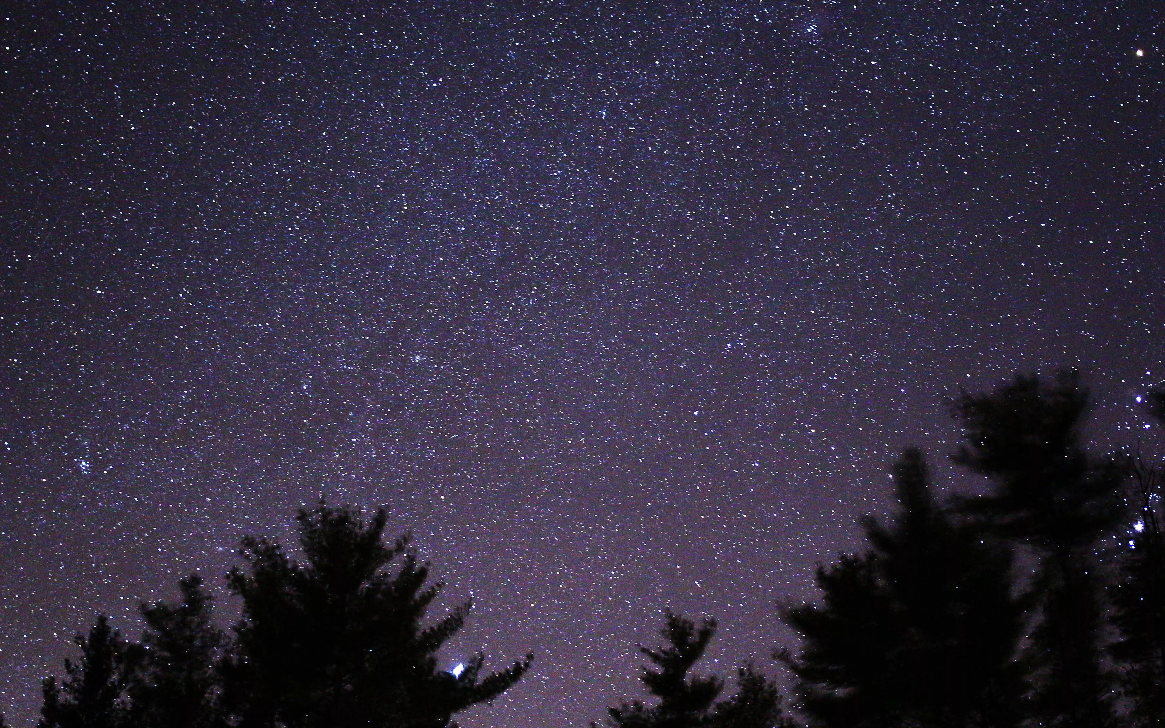 Night Sky Star Space Starry Wood Dark
