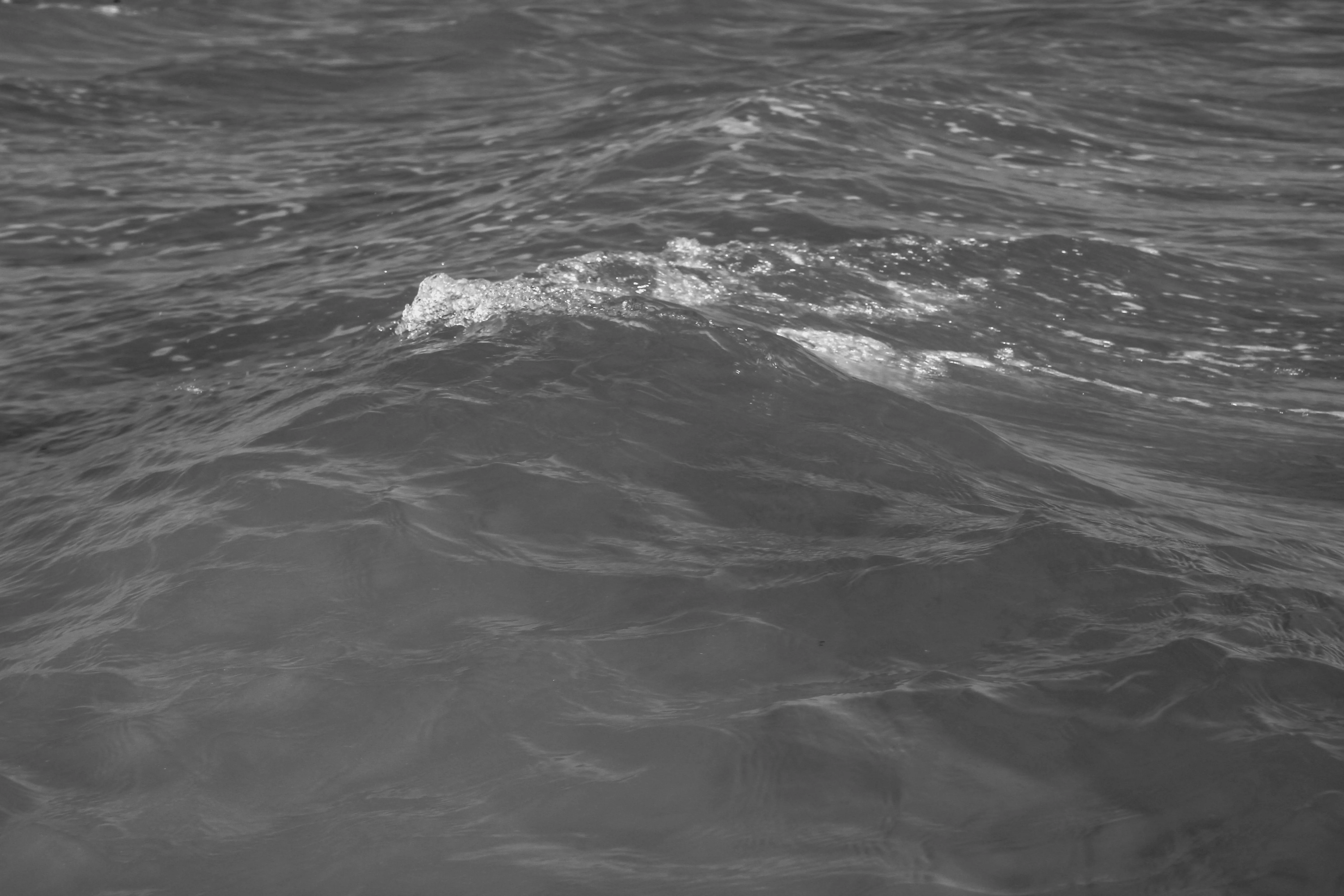 Sea in Black and White · Free