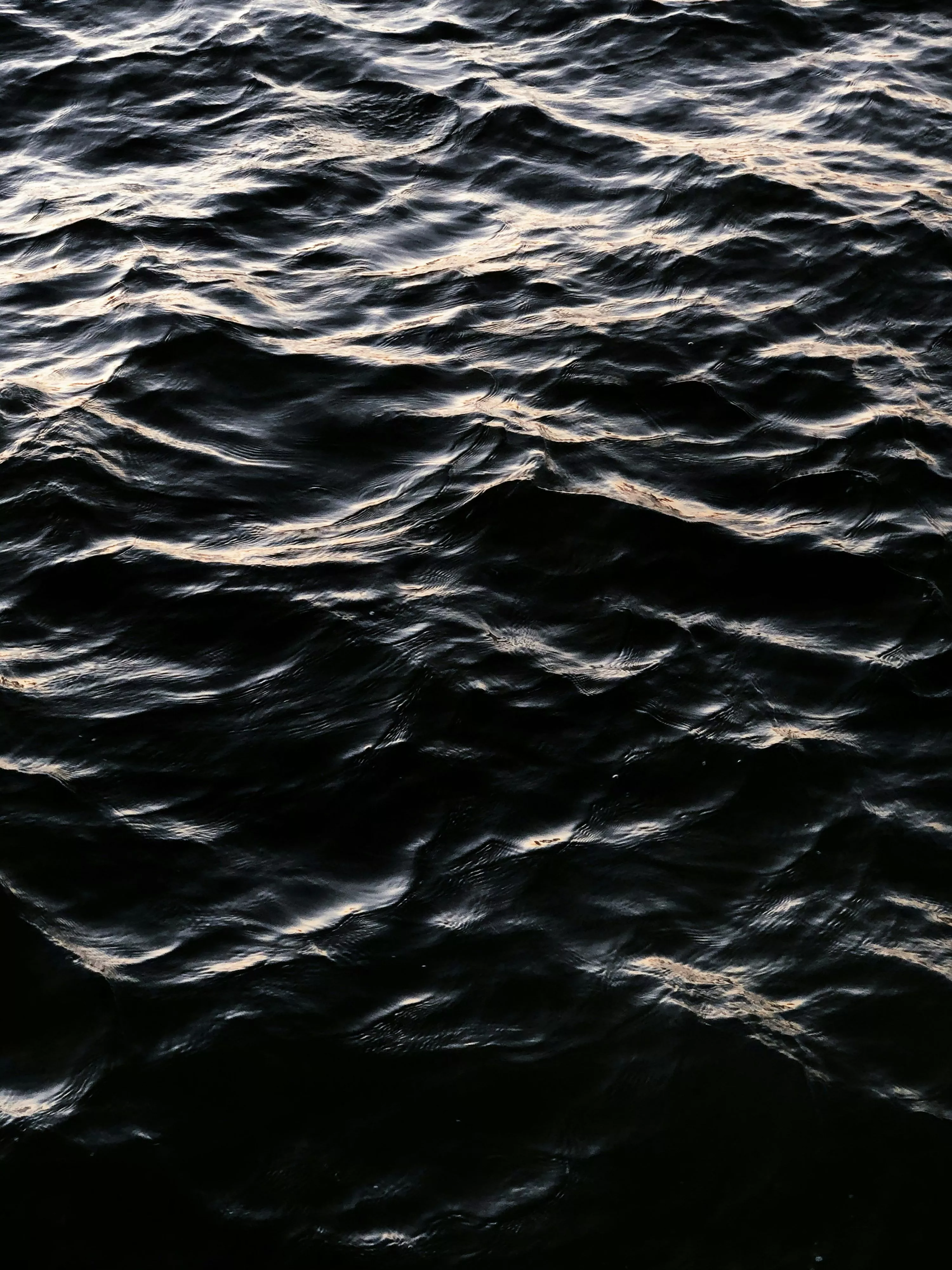 Dark Water Picture
