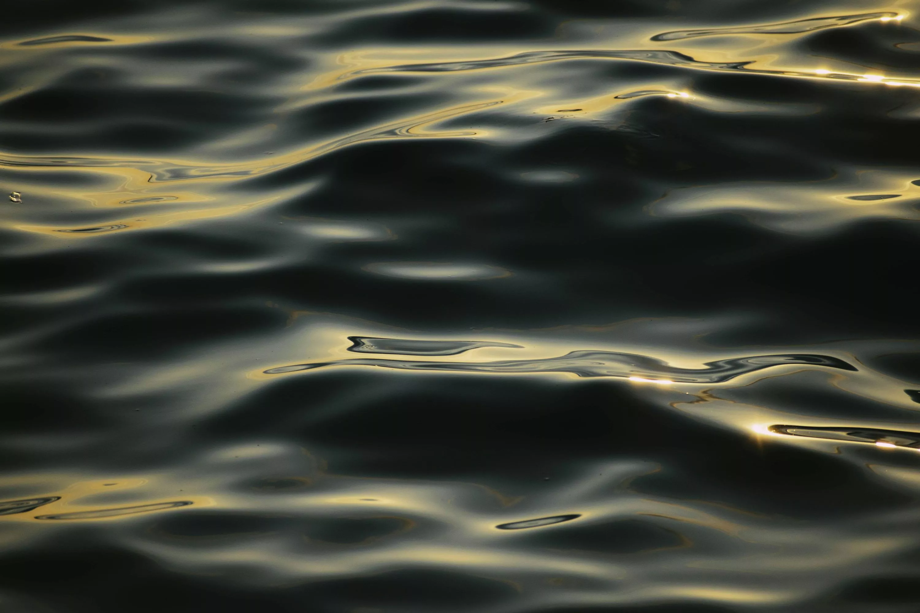 Free Wallpaper 4k Image