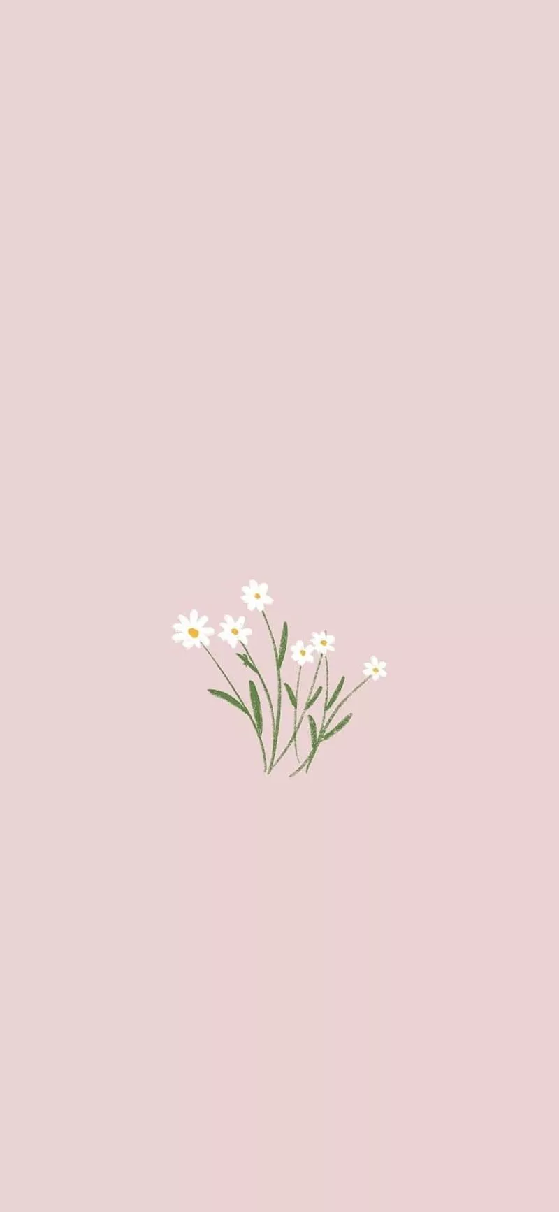ME LIKEY, Minimal Rose, HD phone wallpaper