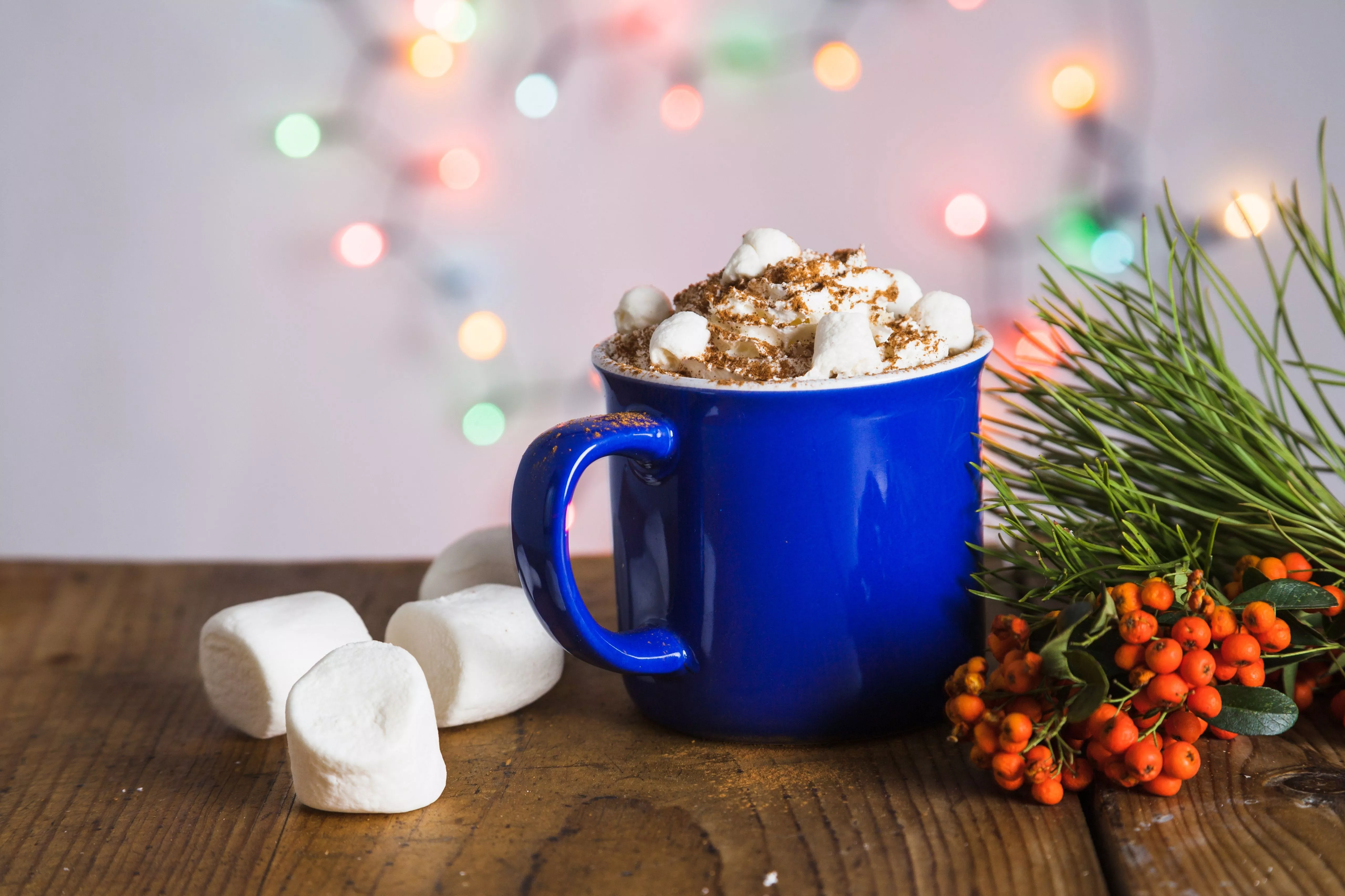 Cozy hot chocolate with marshmallows