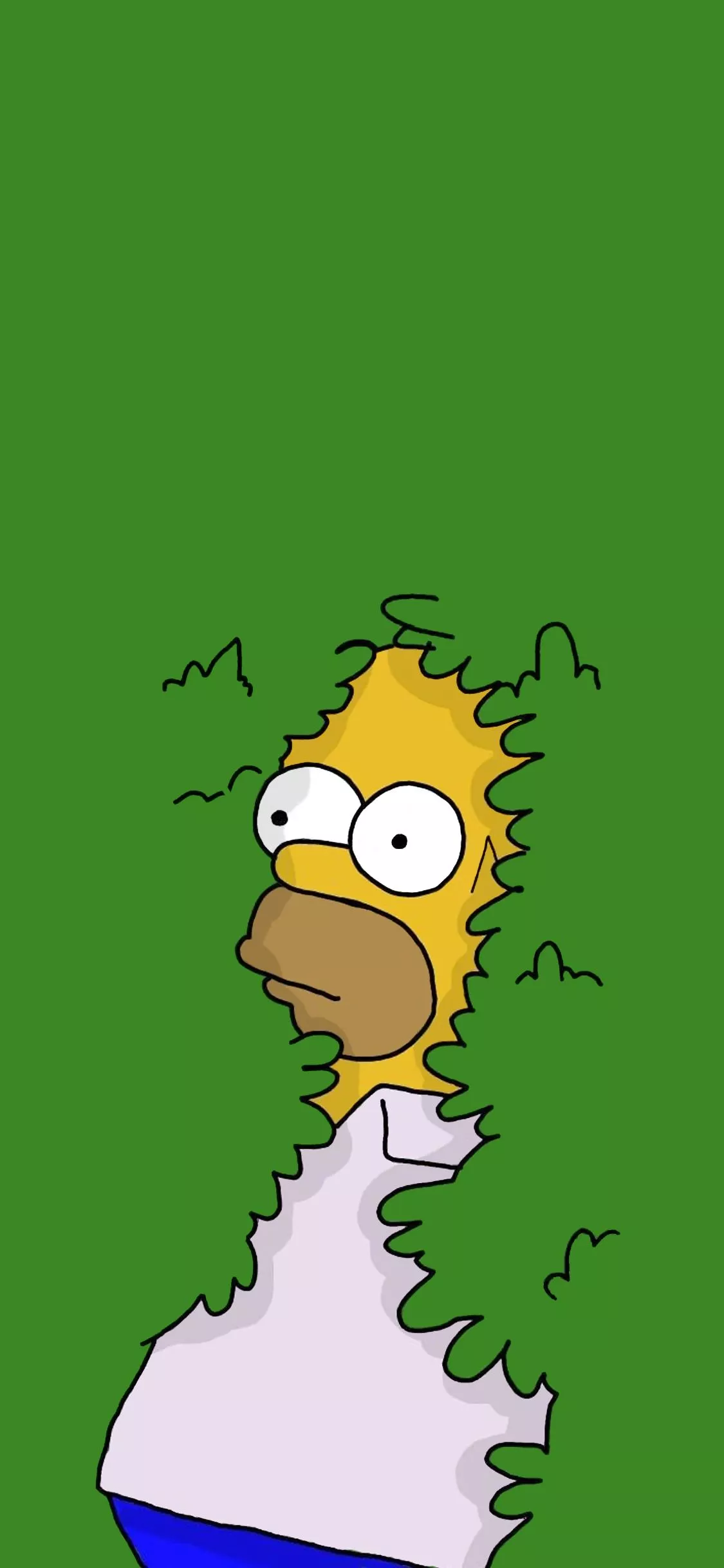 mobile phone wallpaper and lock screen wallpaper!