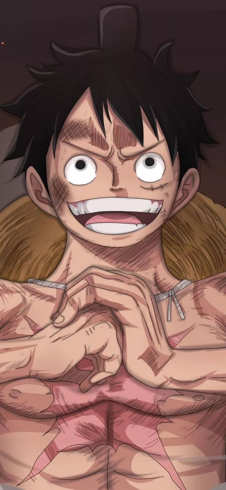 Monkey D. Luffy Anime One Piece