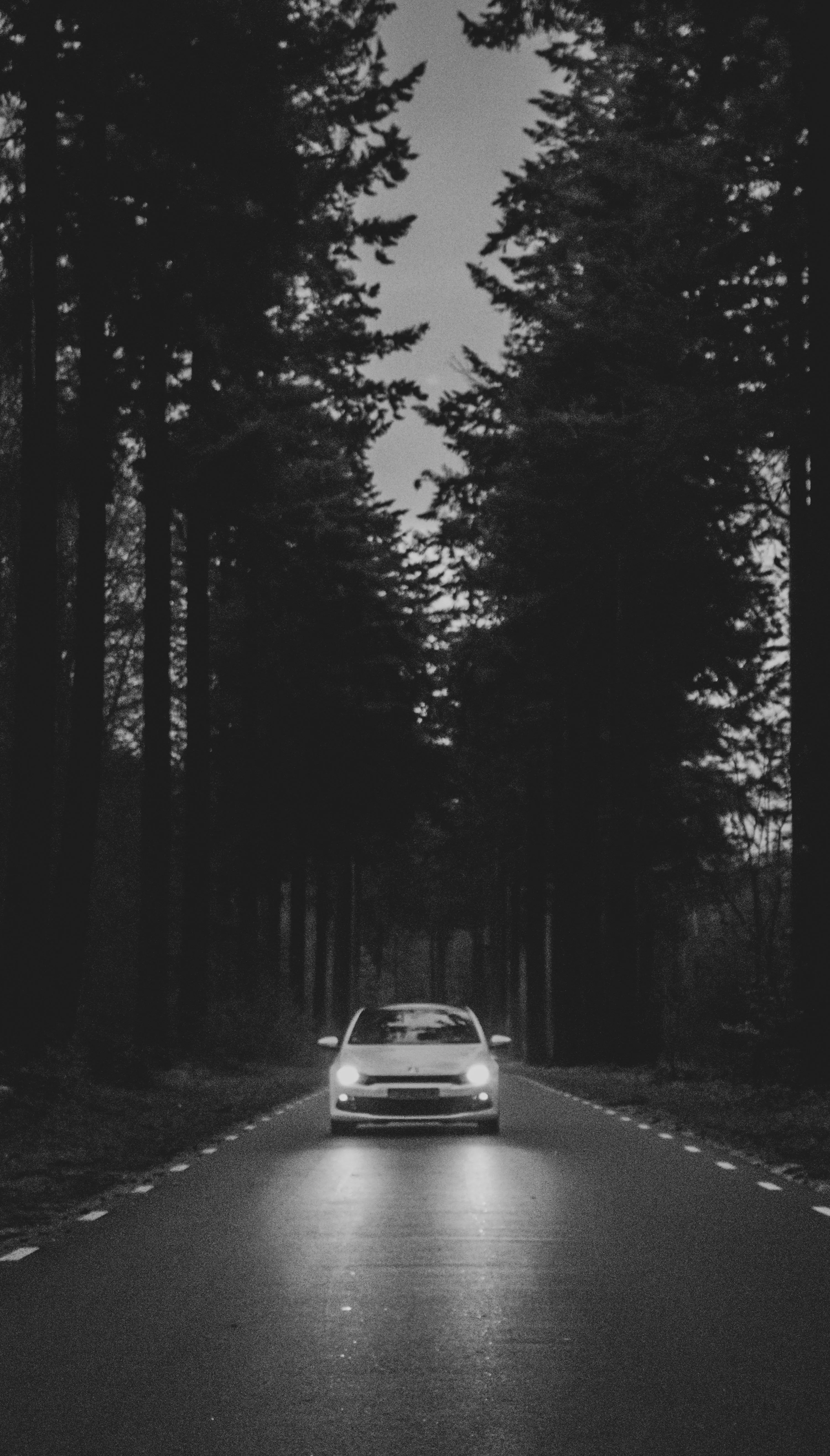 Car Black And White Picture. Download