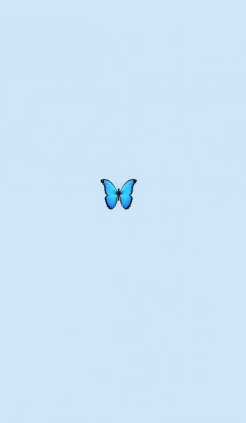Blue Butterfly, nature, pastel, HD