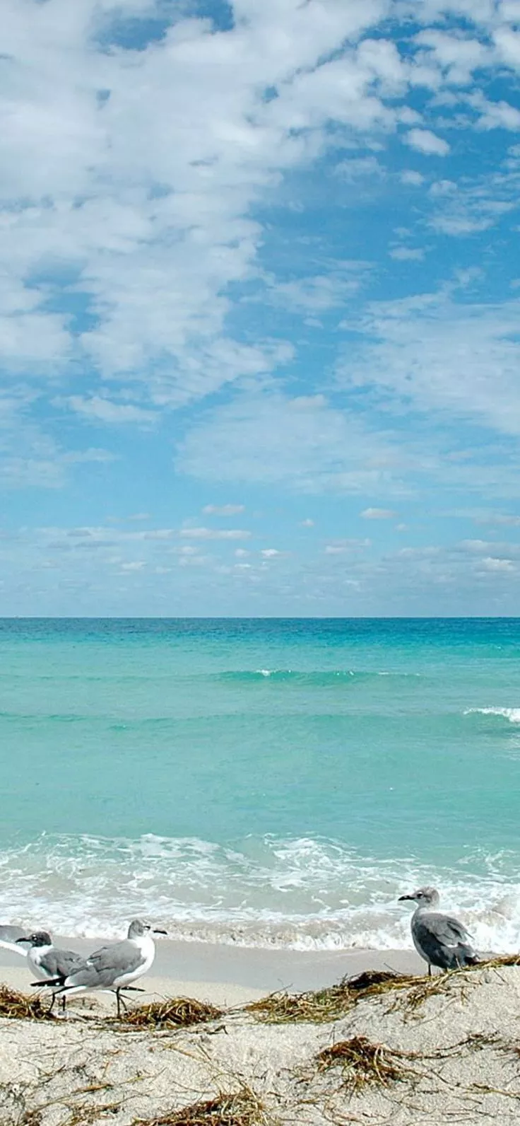 Florida Beaches 4K 2020 Image