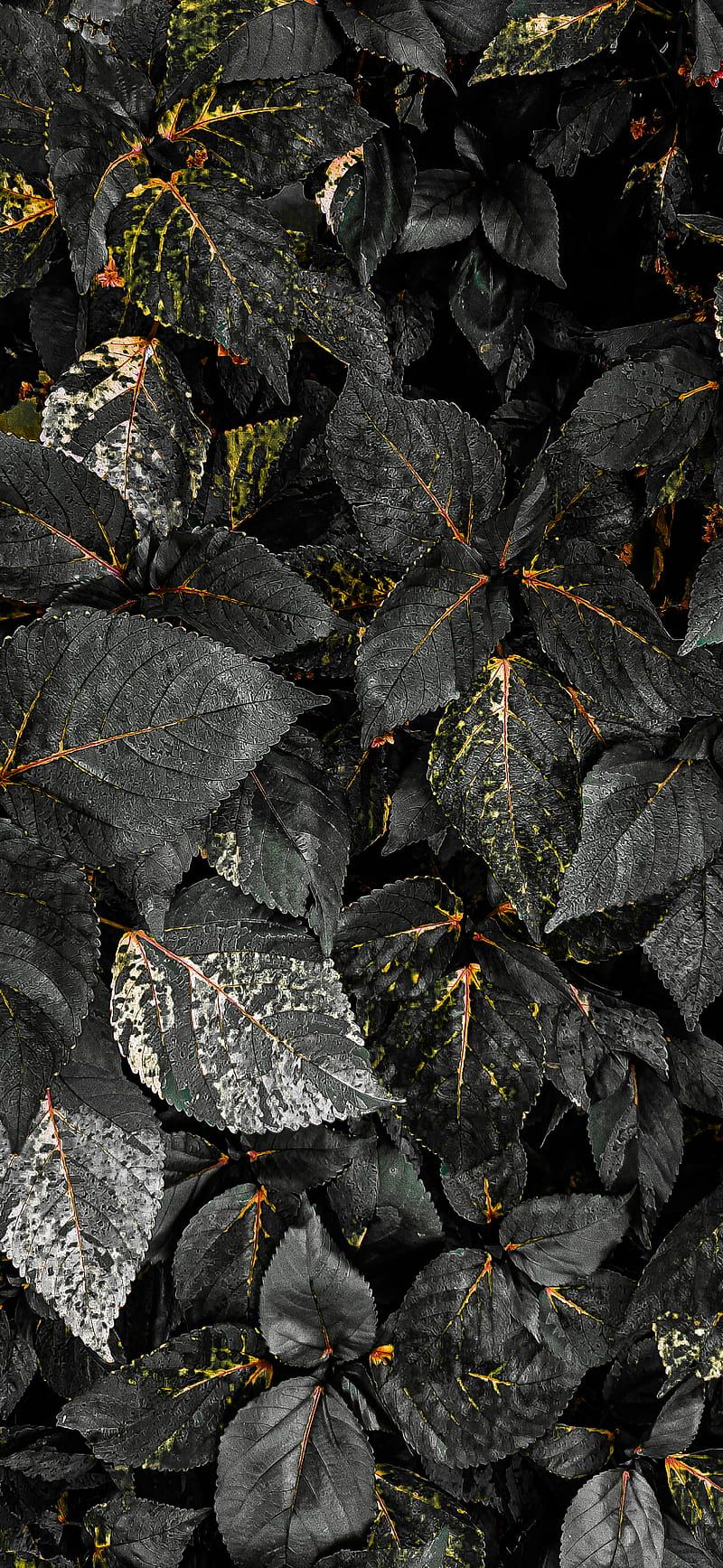 HD samsung grey wallpaper