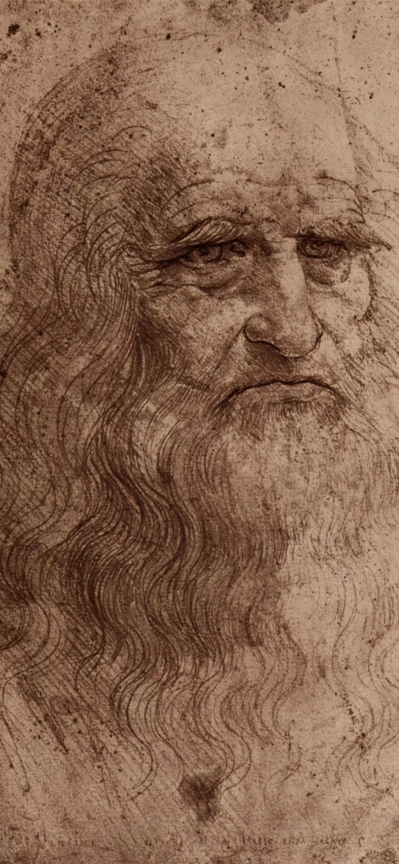 Leonardo da Vinci Wallpaper