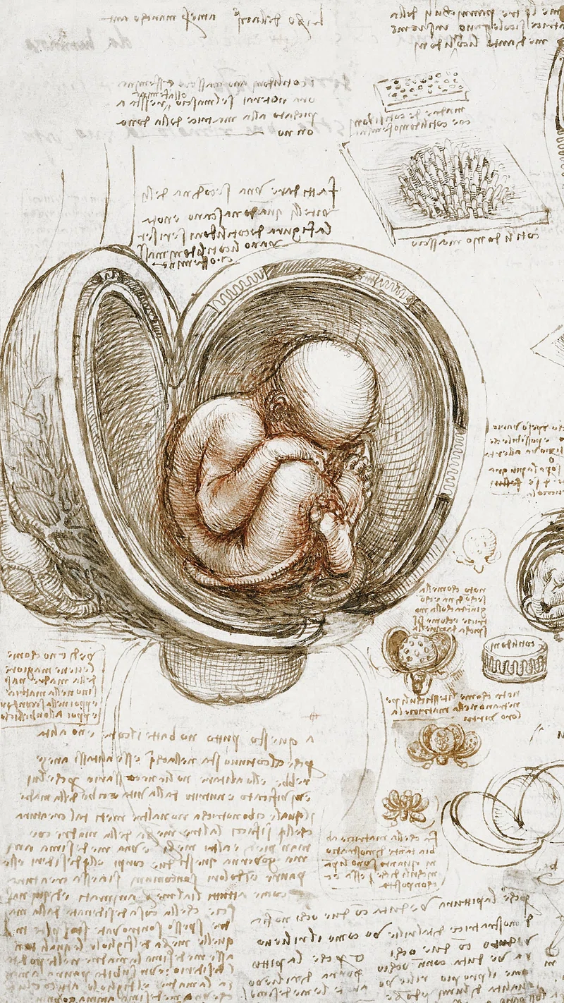 Leonardo Da Vinci Sketches Image