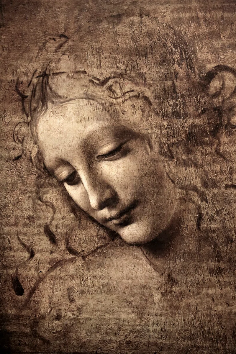 Leonardo Da Vinci Image. Free Photo
