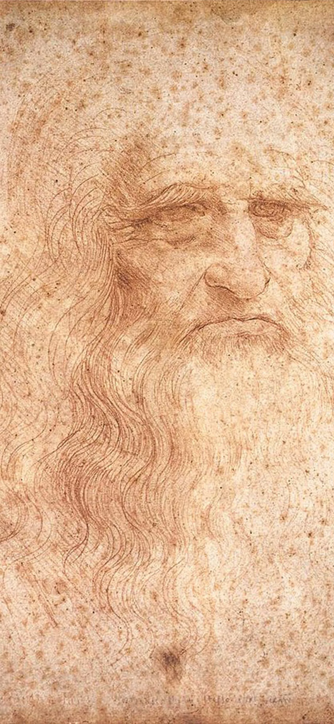Best Leonardo da vinci iPhone HD