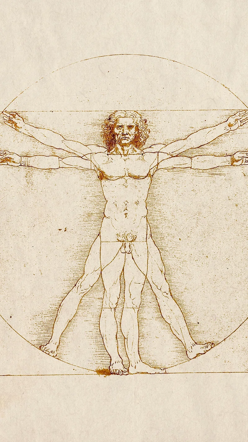 Leonardo Da Vinci Drawing Image. Free