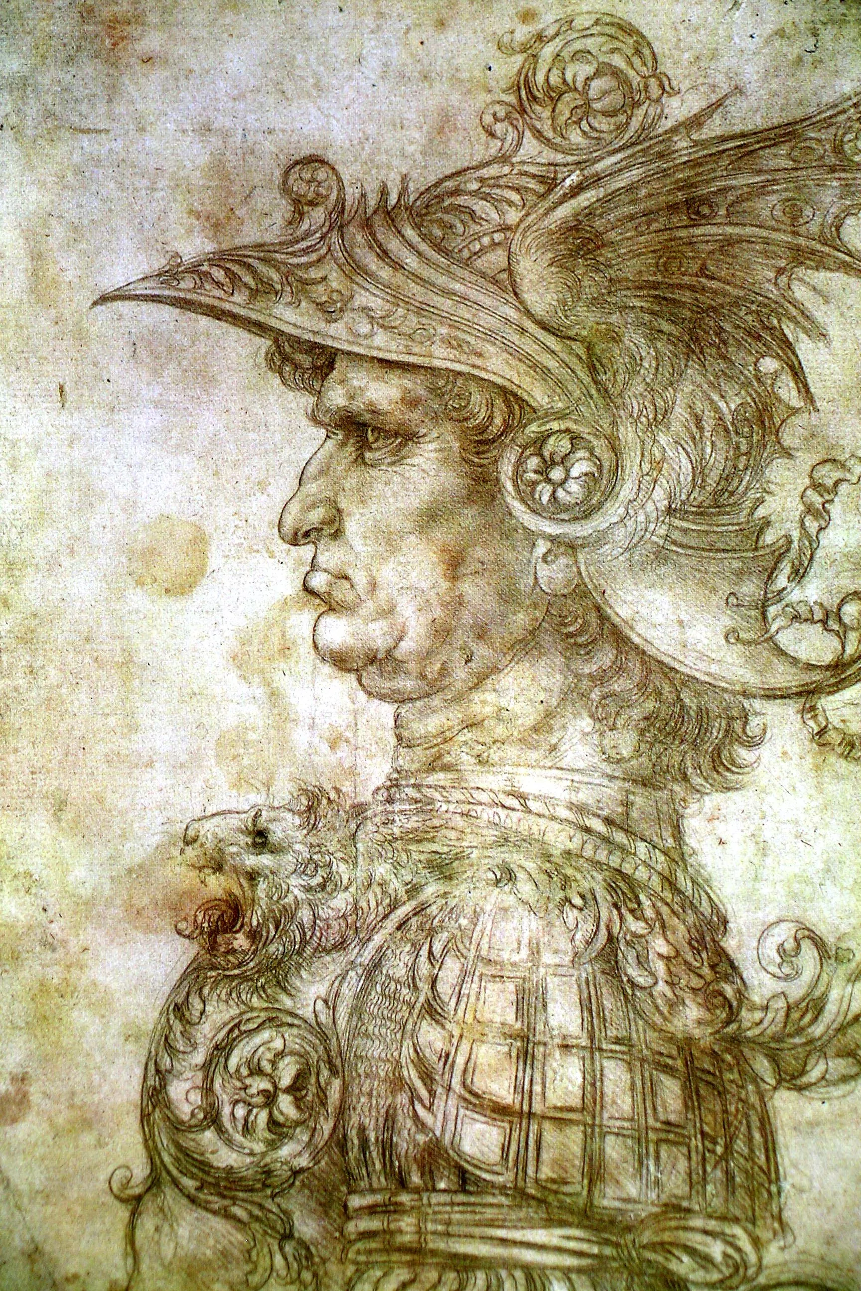 Ancient Captain Da Vinci