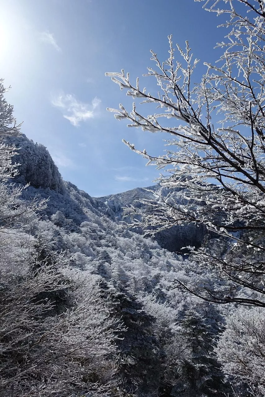 Winter Snow Mountain Jeju Island