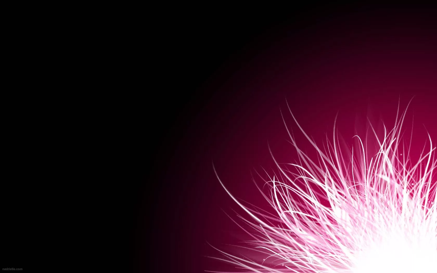 Hot Pink HD Wallpaper