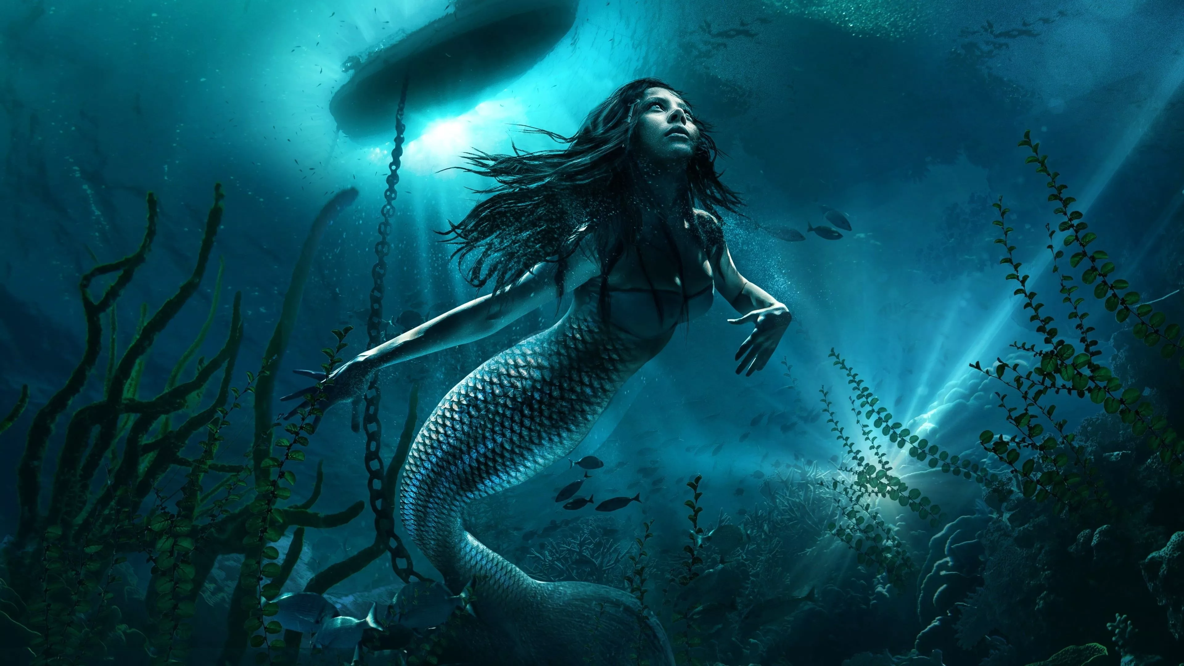 Mermaid Wallpaper