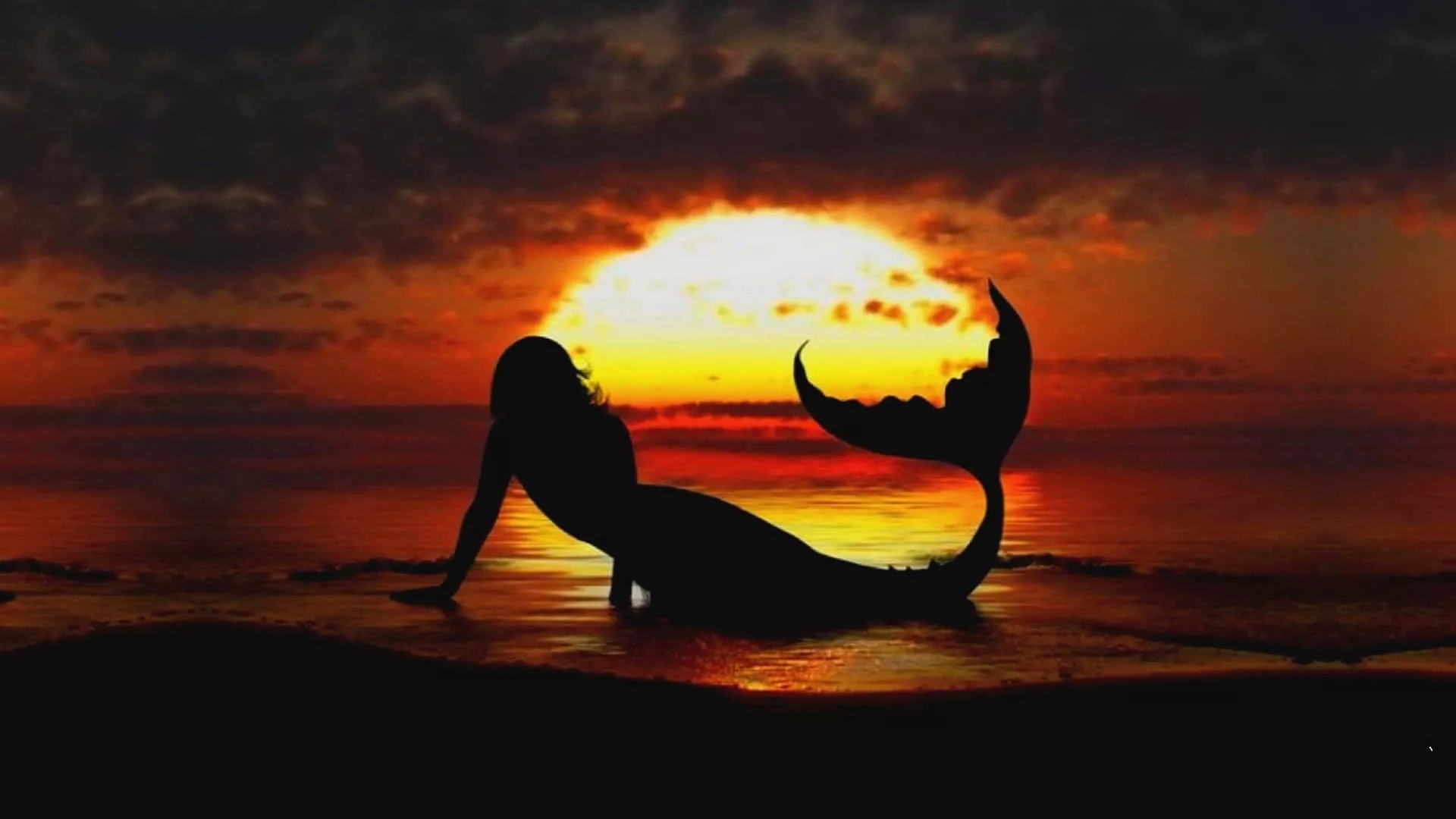 Real Mermaid Wallpaper